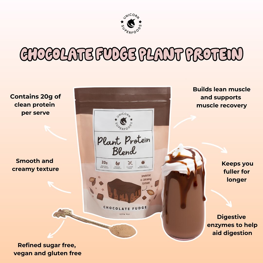 Choc Fudge Plant Protein Drink