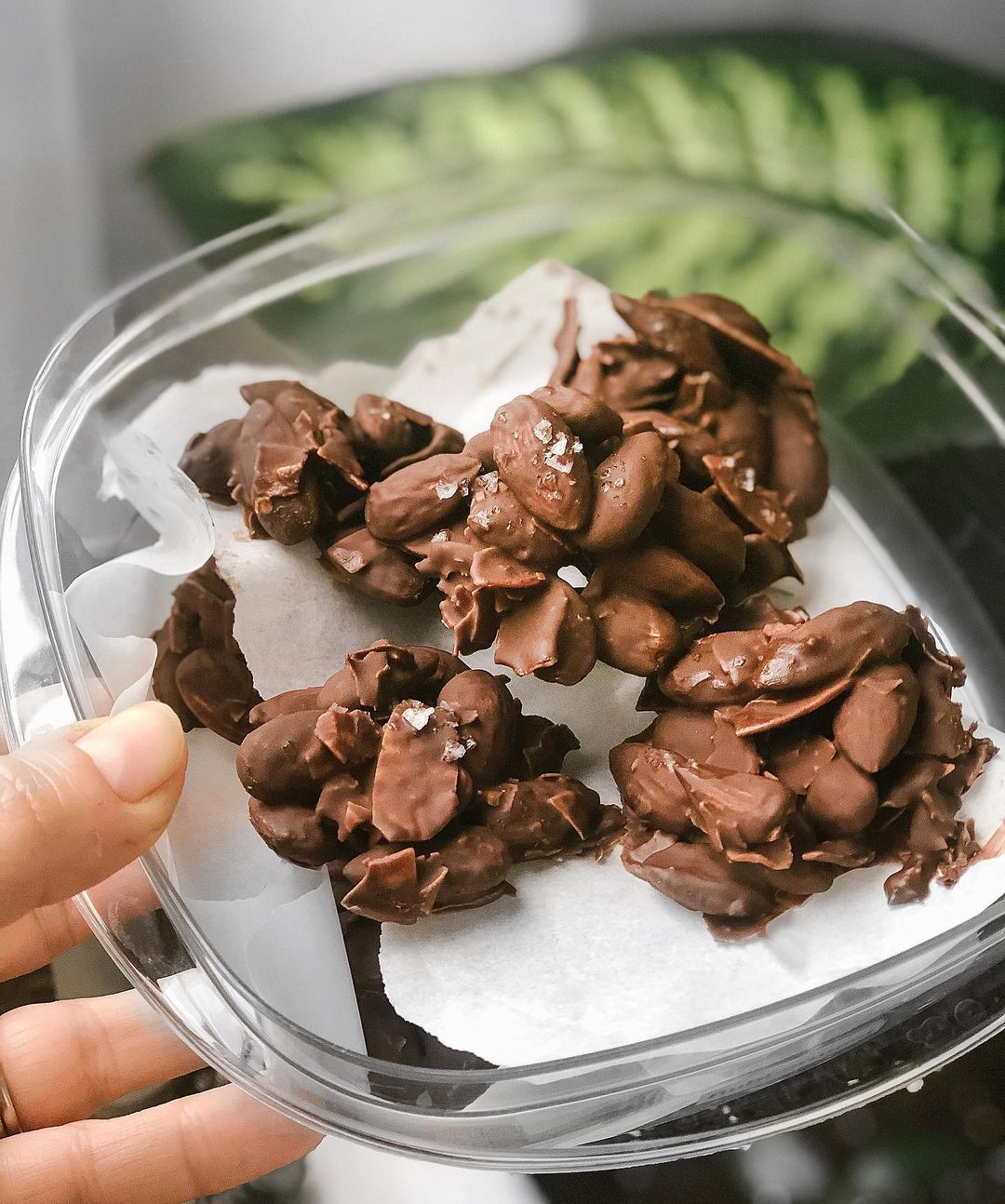 Chocolate Coconut Almond Clusters