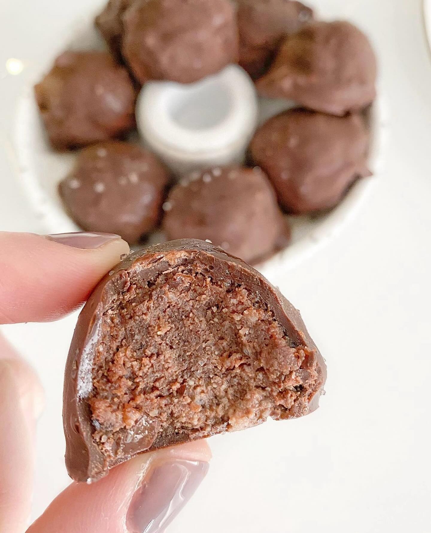 No-Bake Double Chocolate Bites