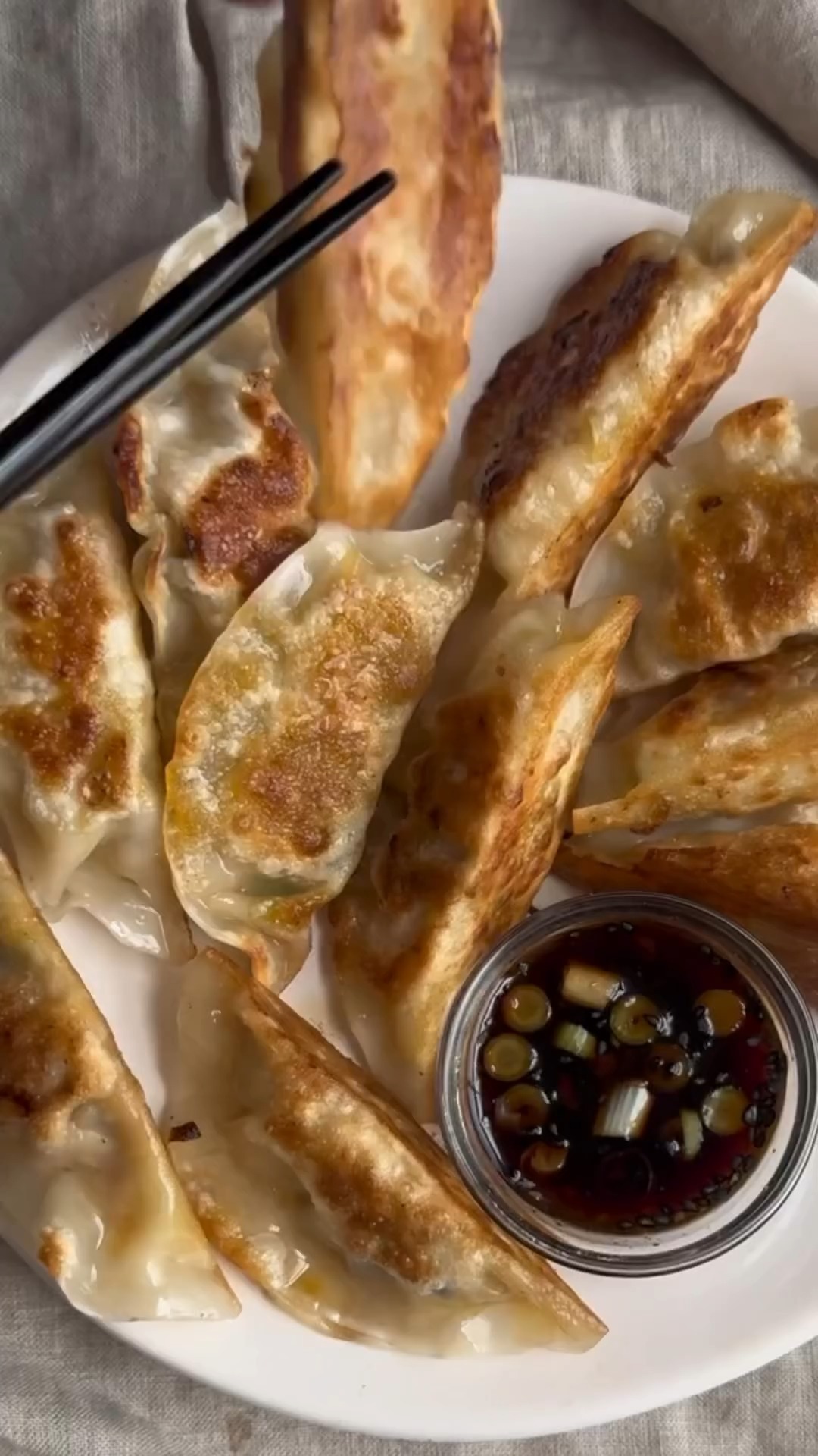 Homemade Vegan Vegetable Dumplings