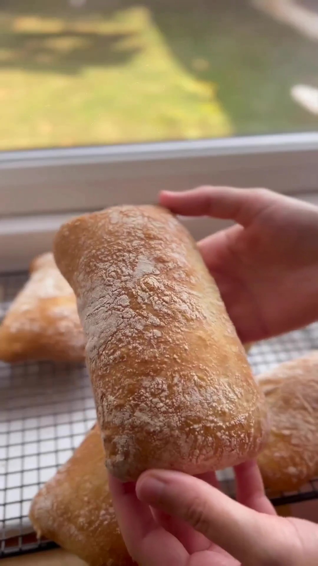 Easy No-Knead Ciabatta Bread