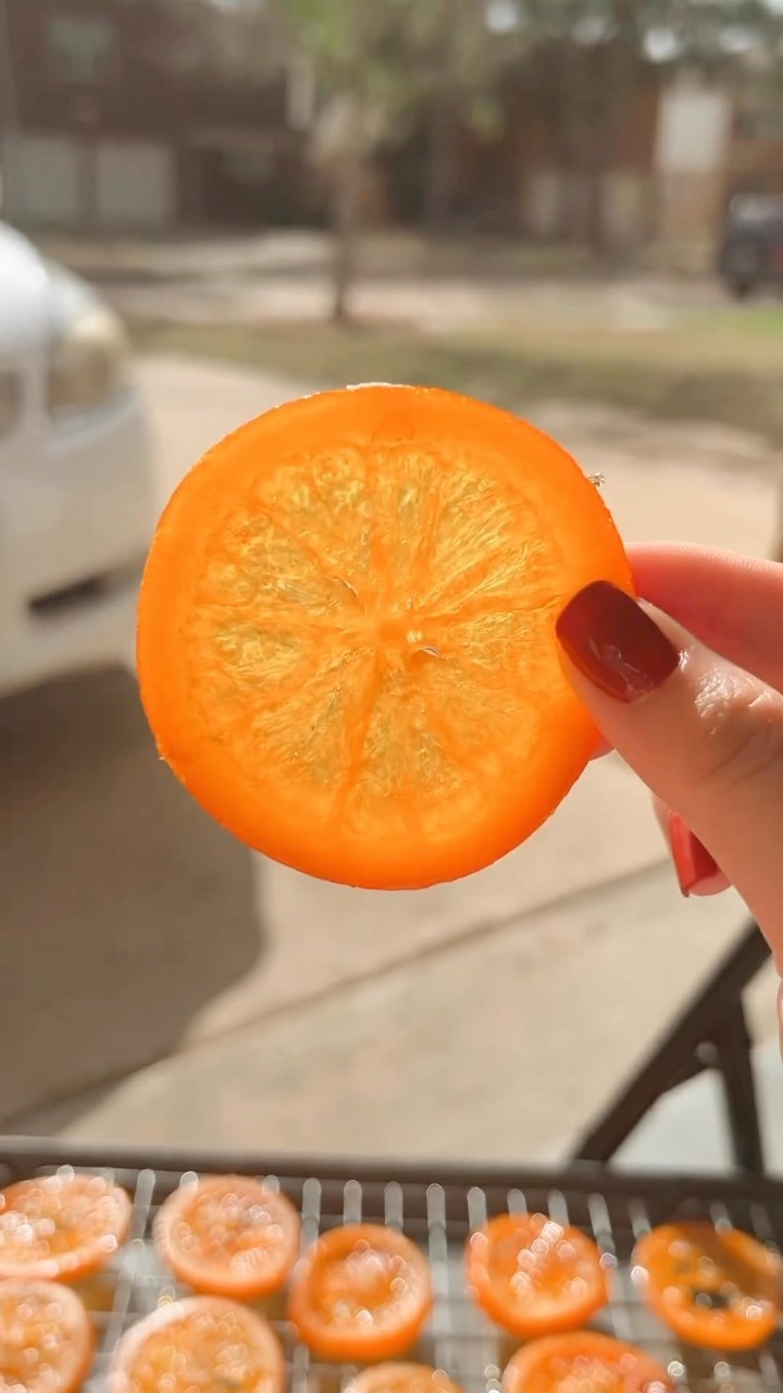 Homemade Candied Orange Slices