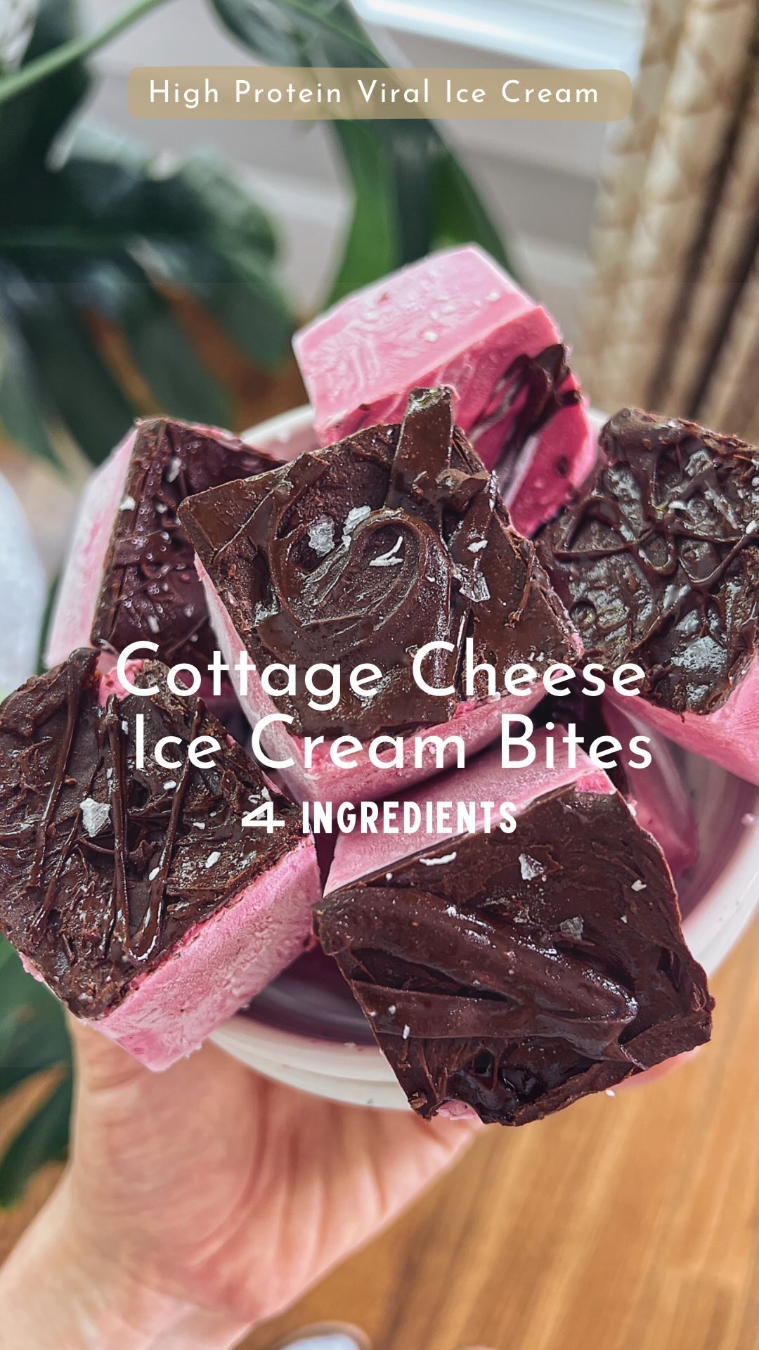 Raspberry Chocolate Cottage Cheese Ice Cream Bites