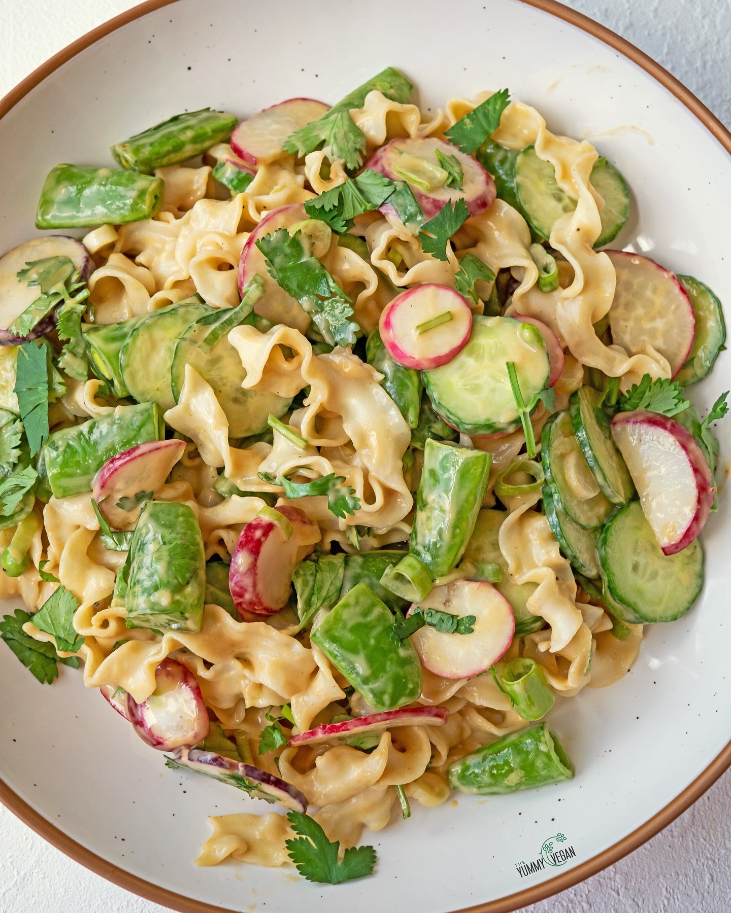 Cold Peanut Noodle Salad