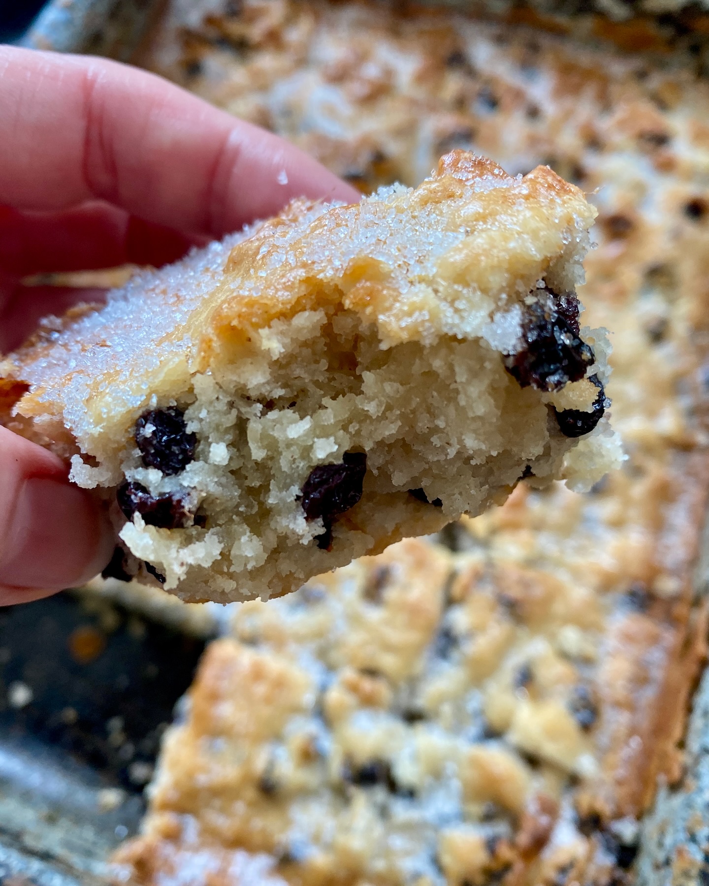 Traditional Cornish Heavy Cake