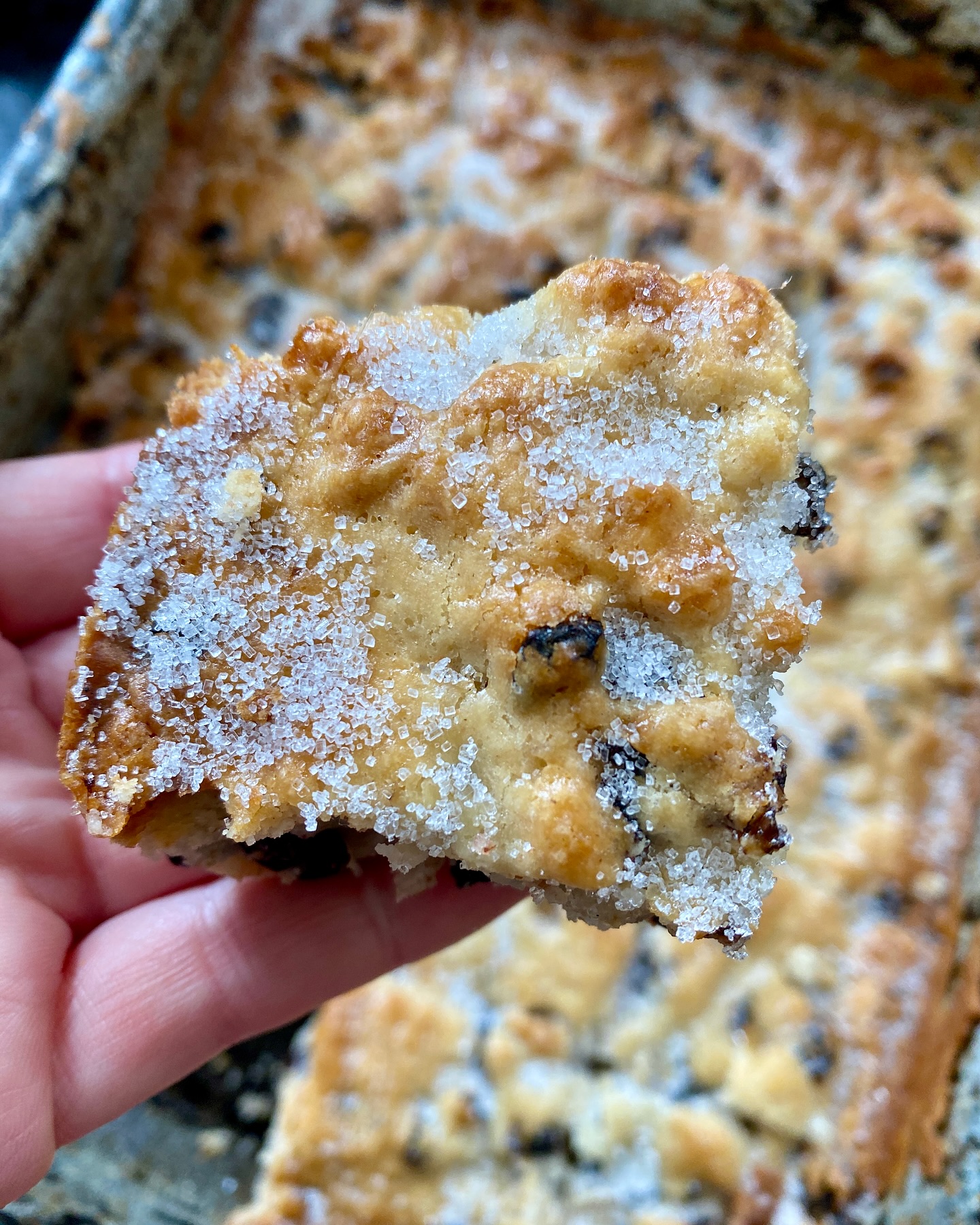 Traditional Cornish Heavy Cake