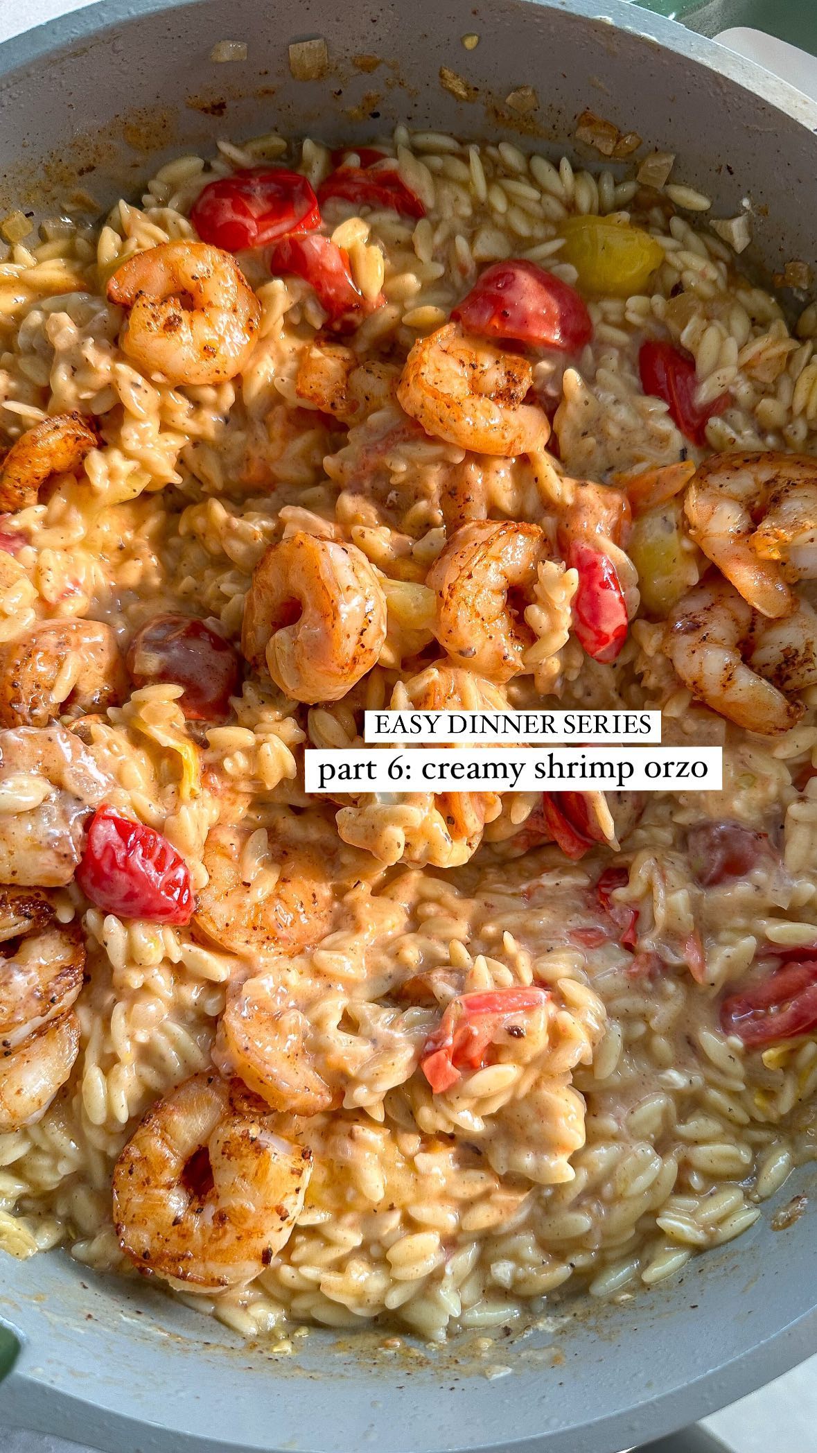 Easy Creamy Shrimp Orzo Dish