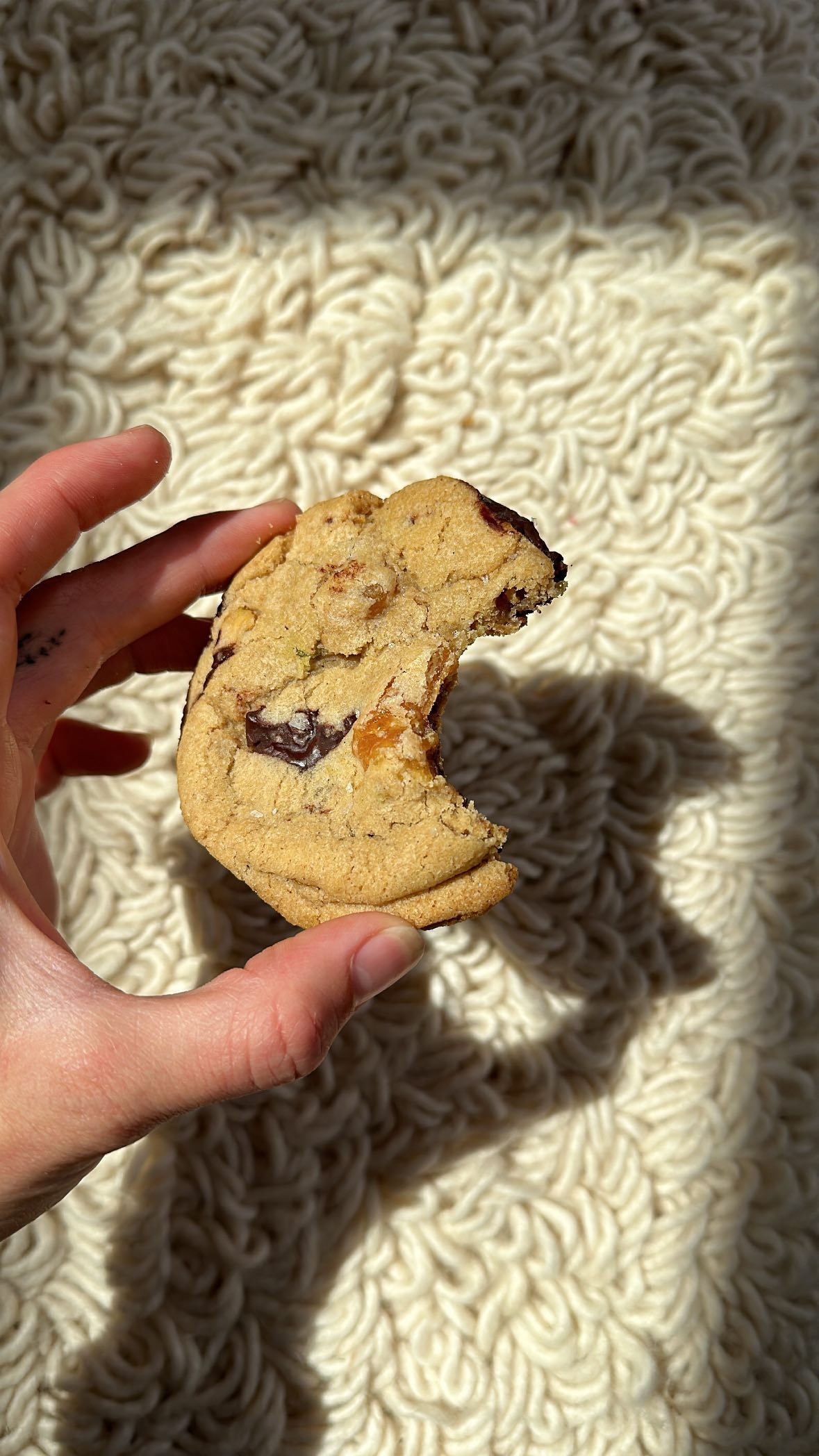 Dark Chocolate Pistachio Apricot Cookies