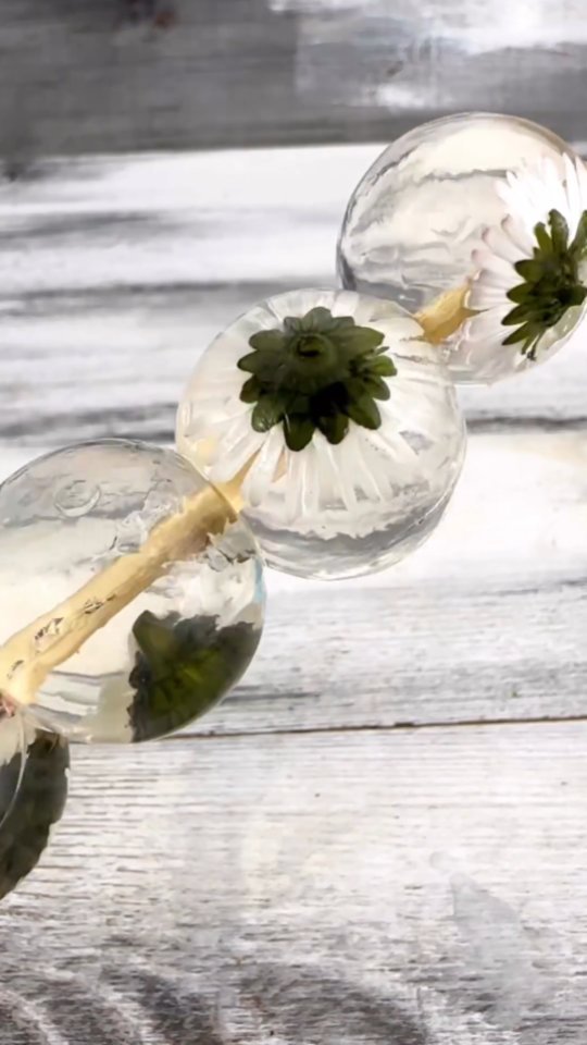 Vegan Jelly Balls with Daisies
