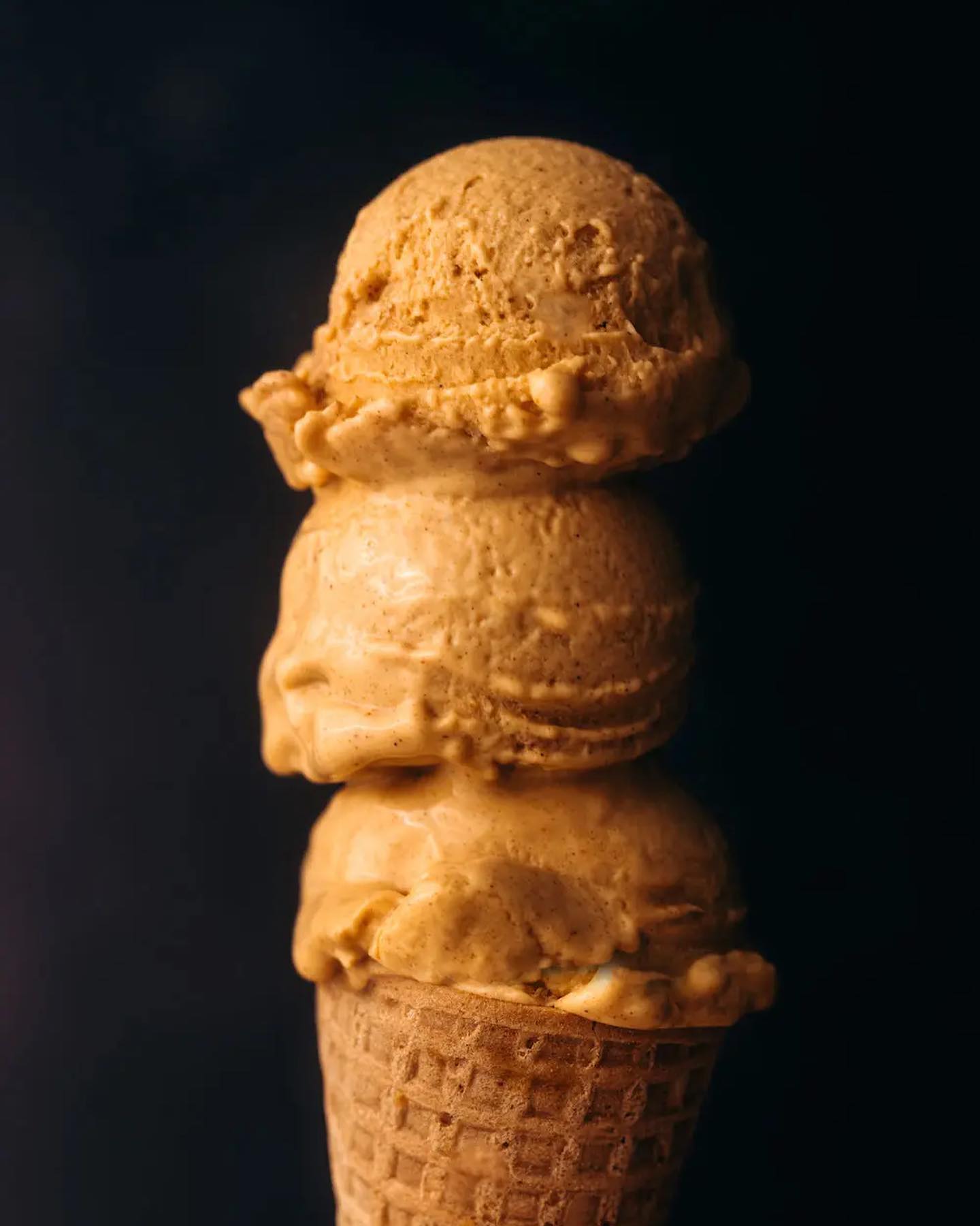 Dairy-Free Pumpkin Spice Ice Cream