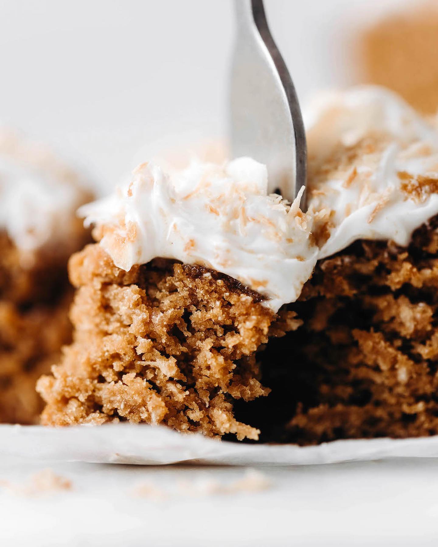 Vegan Gluten-Free Toasted Coconut Cake