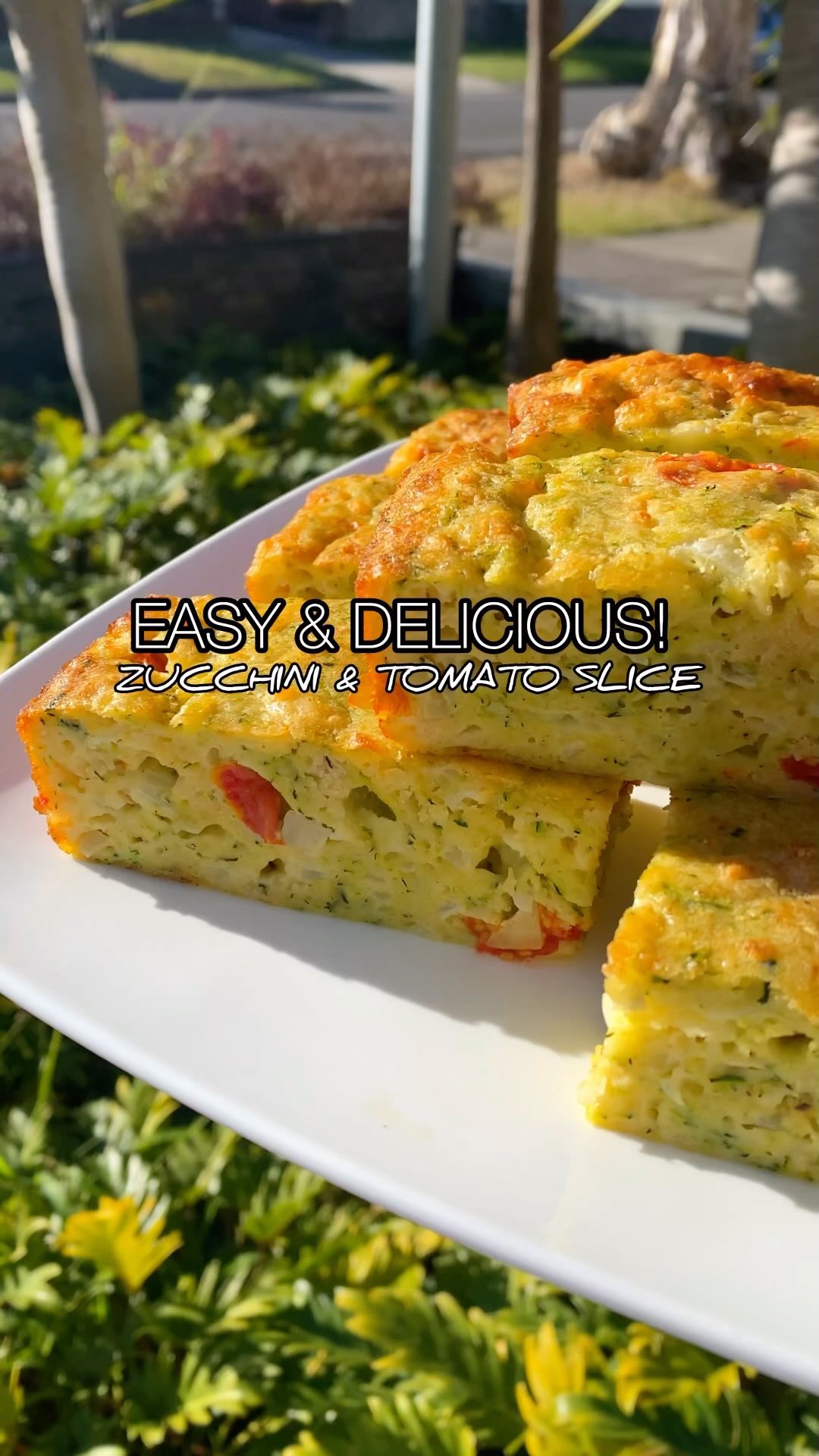 Zucchini and Tomato Slice
