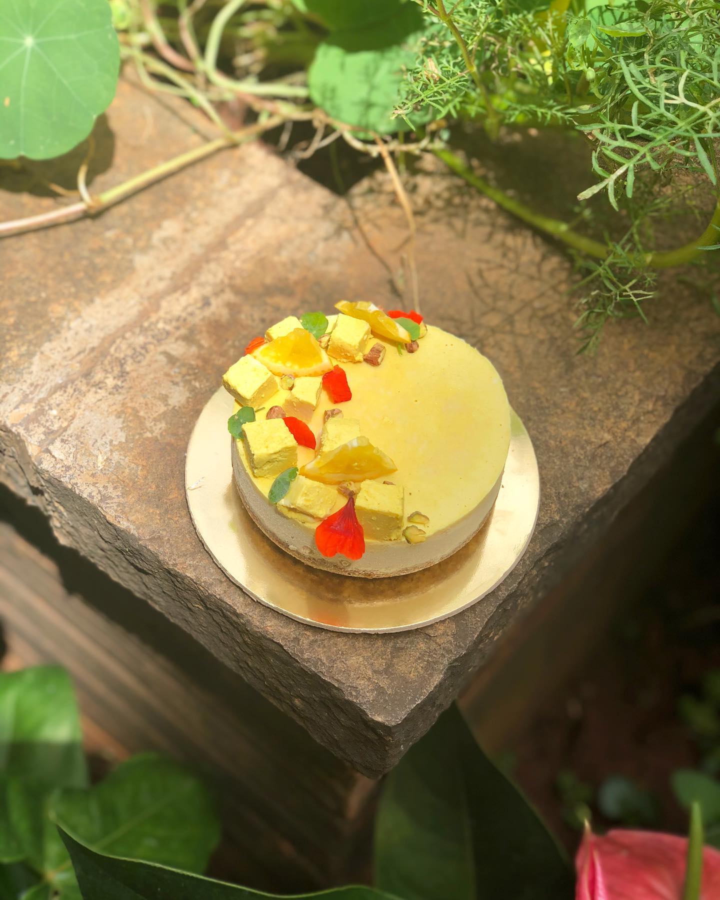 Vegan Almond Crust Cheesecake