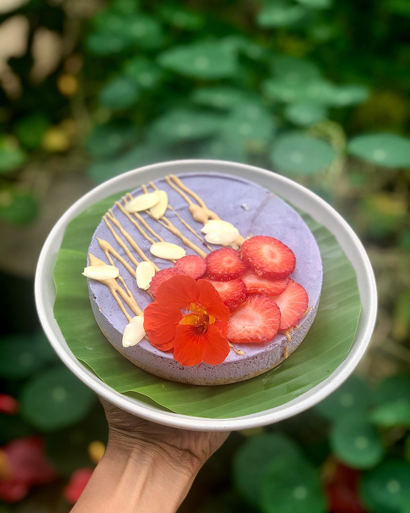 Vegan Almond Crust Cheesecake
