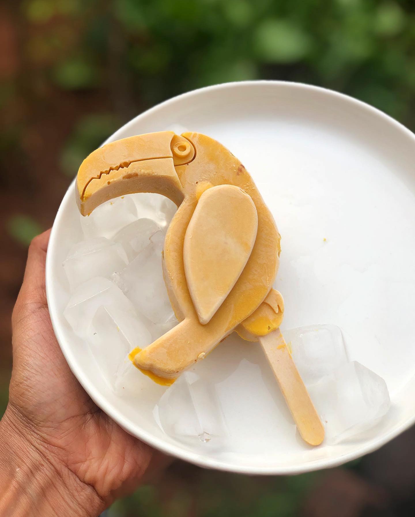 Creamy Mango Chickpea Popsicles