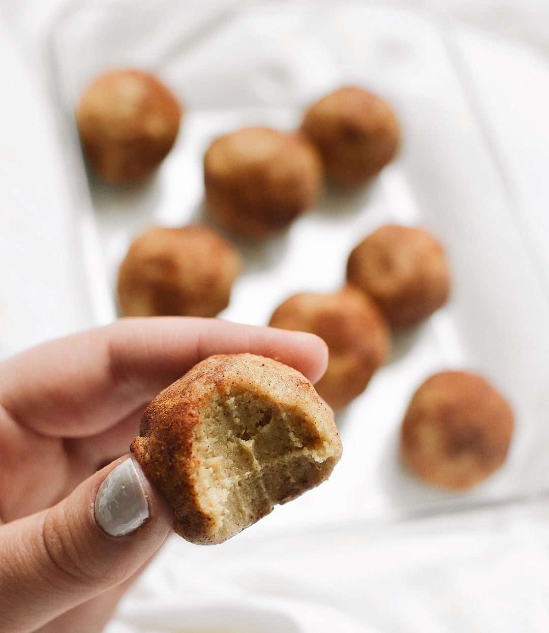 Healthy Snickerdoodle Protein Bites Snack