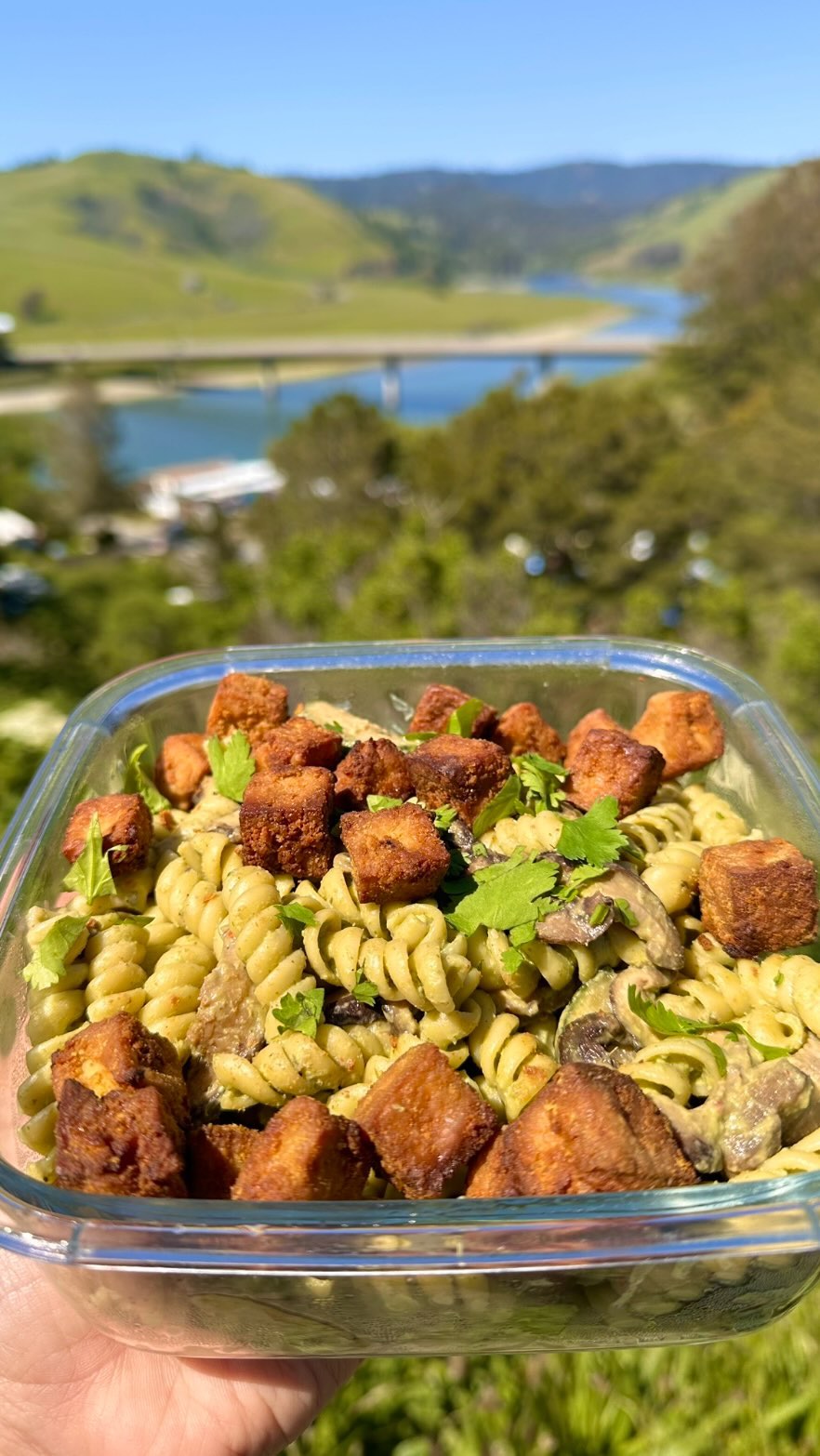 Nutritious Salsa Verde Pasta