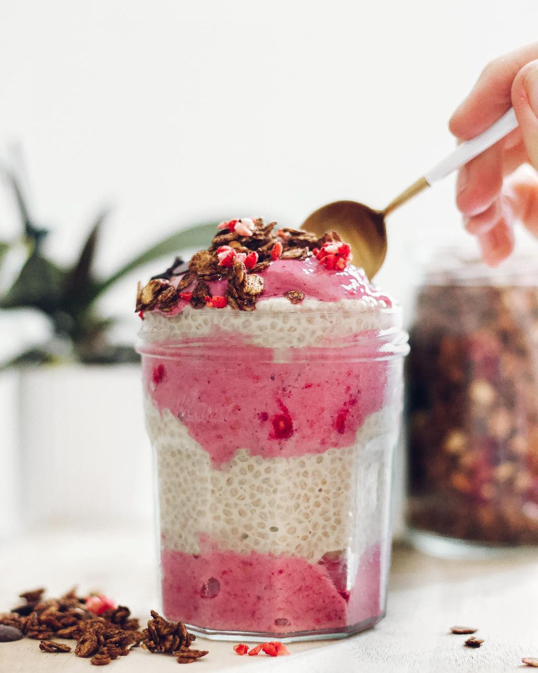 Vanilla Chia Pudding Raspberry Nice Cream Parfait