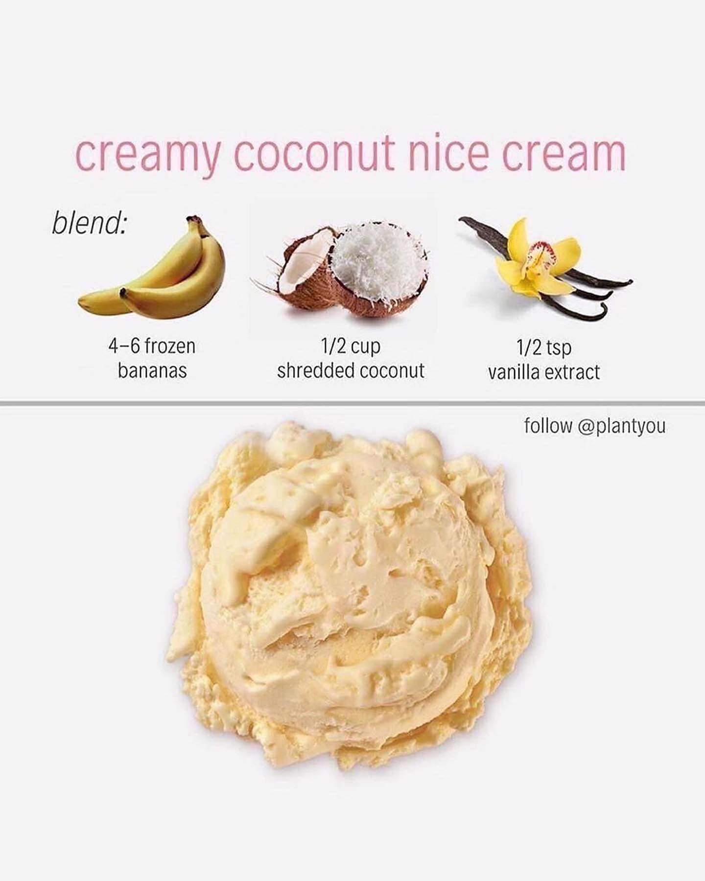 Healthy Vegan Shakes and Nice Creams