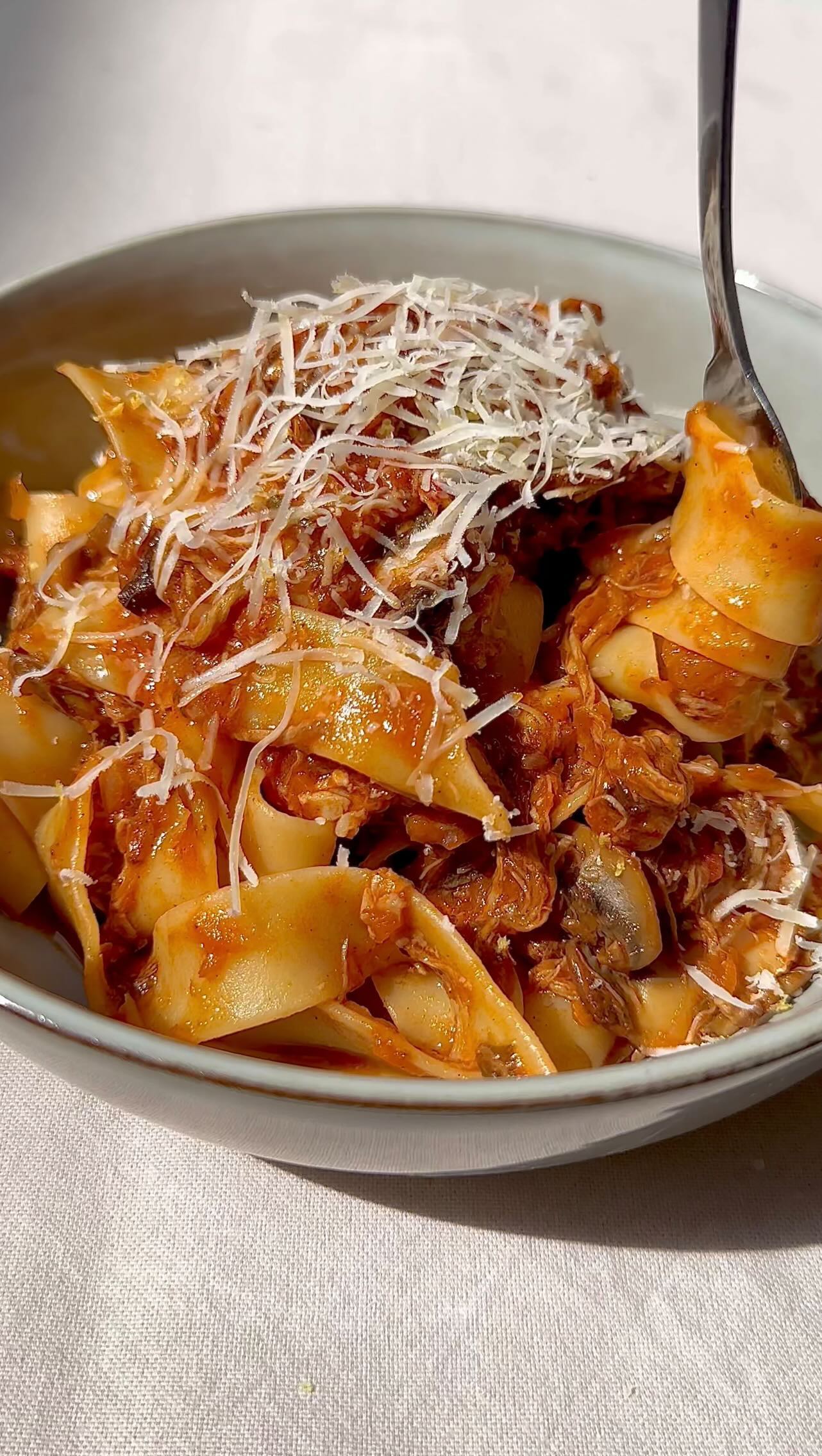 Pork and Porcini Ragu