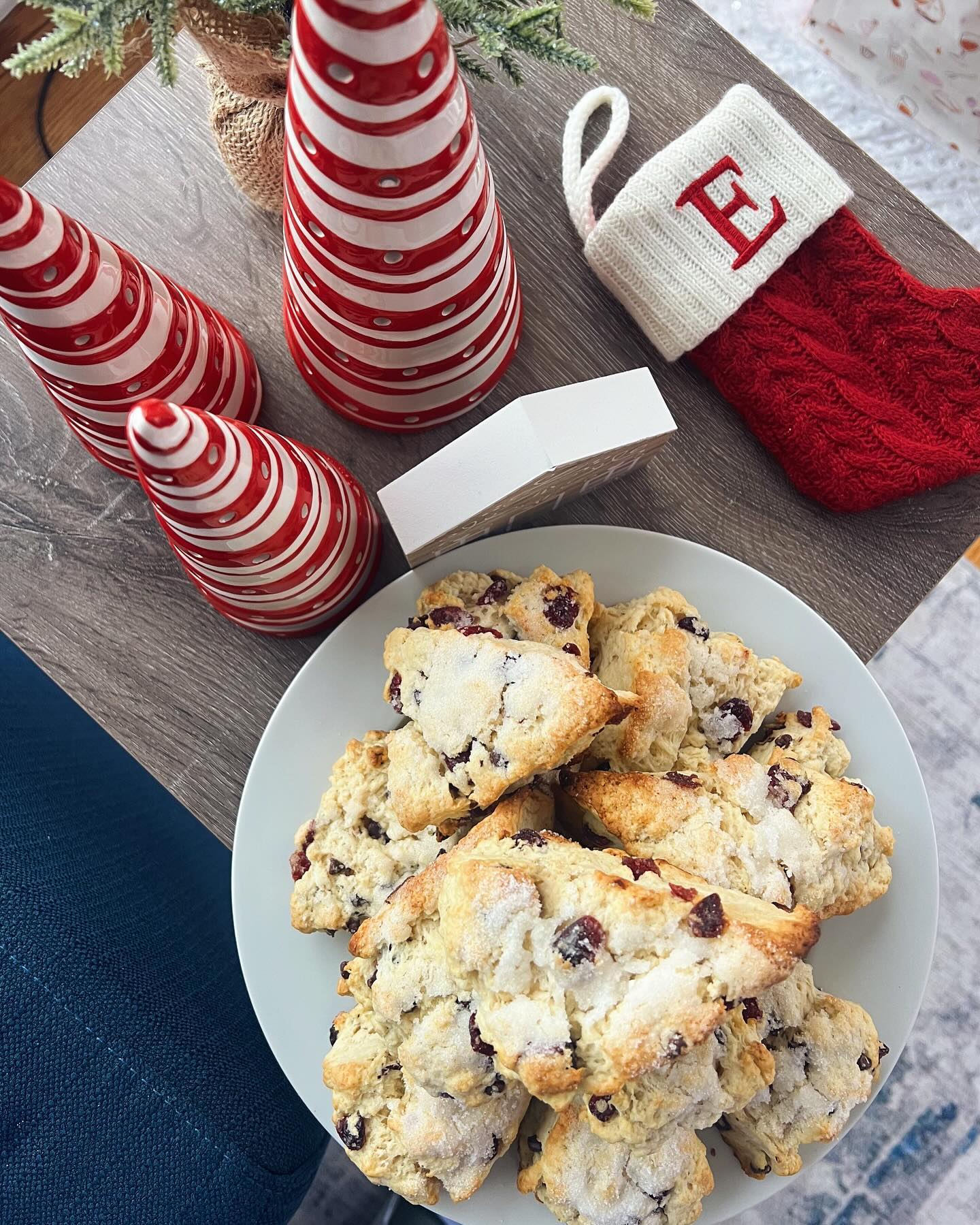 Cranberry Chocolate Chip Scones