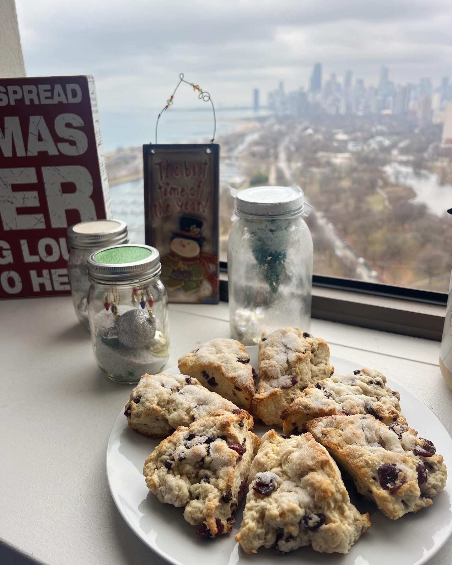 Cranberry Chocolate Chip Scones