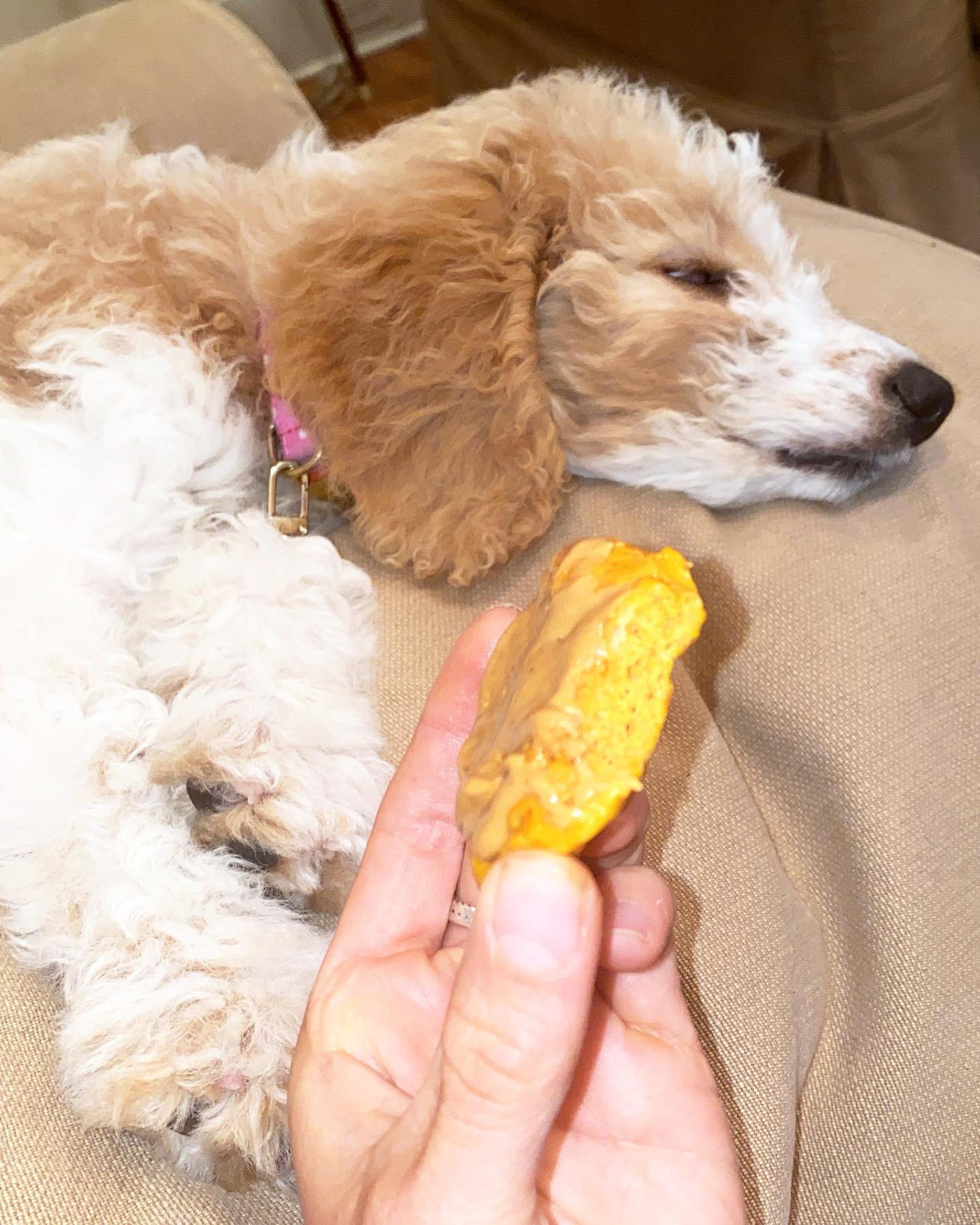 High-Protein Pumpkin Cookies