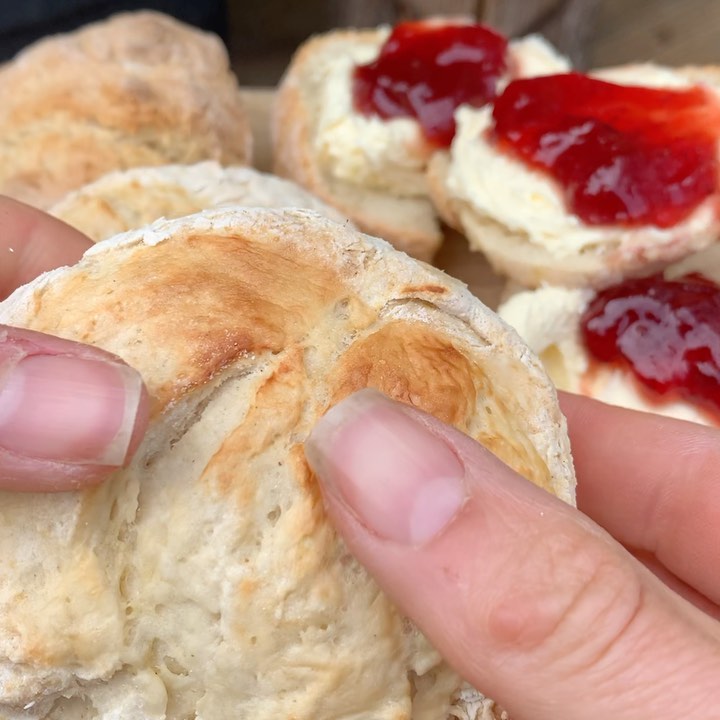 Easy Lemonade Scones