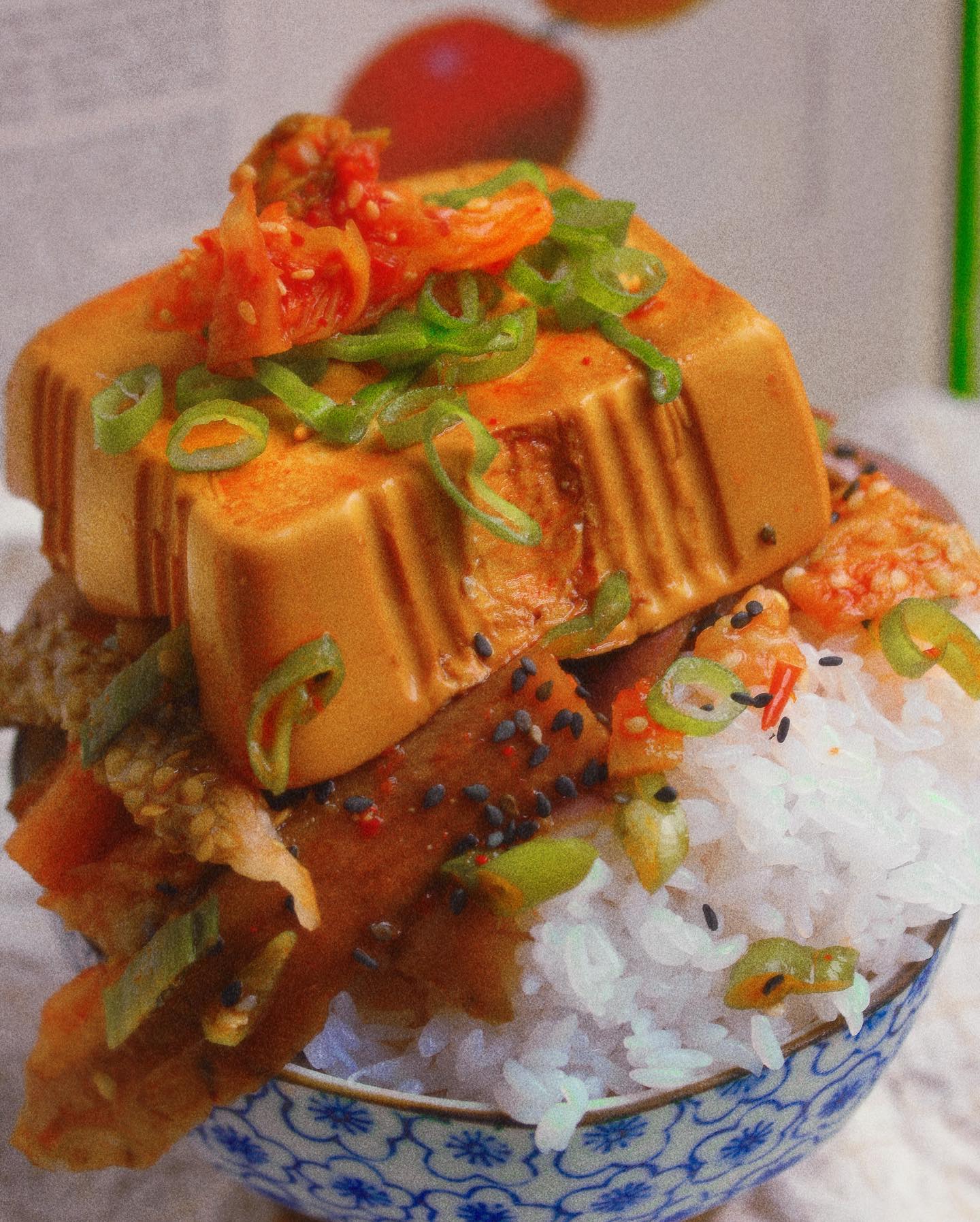 Braised Tofu and Eggplant Rice Bowl