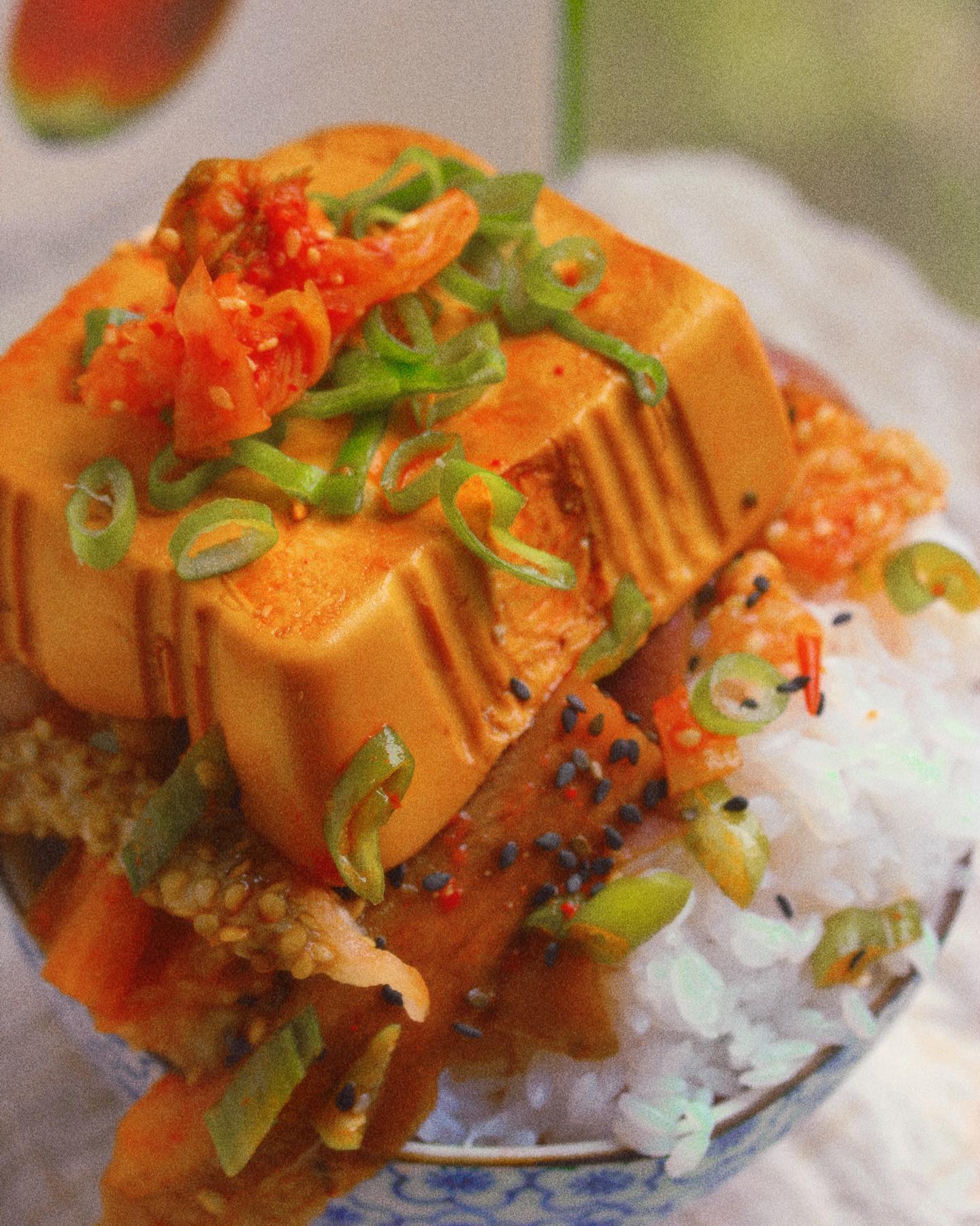 Braised Tofu and Eggplant Rice Bowl