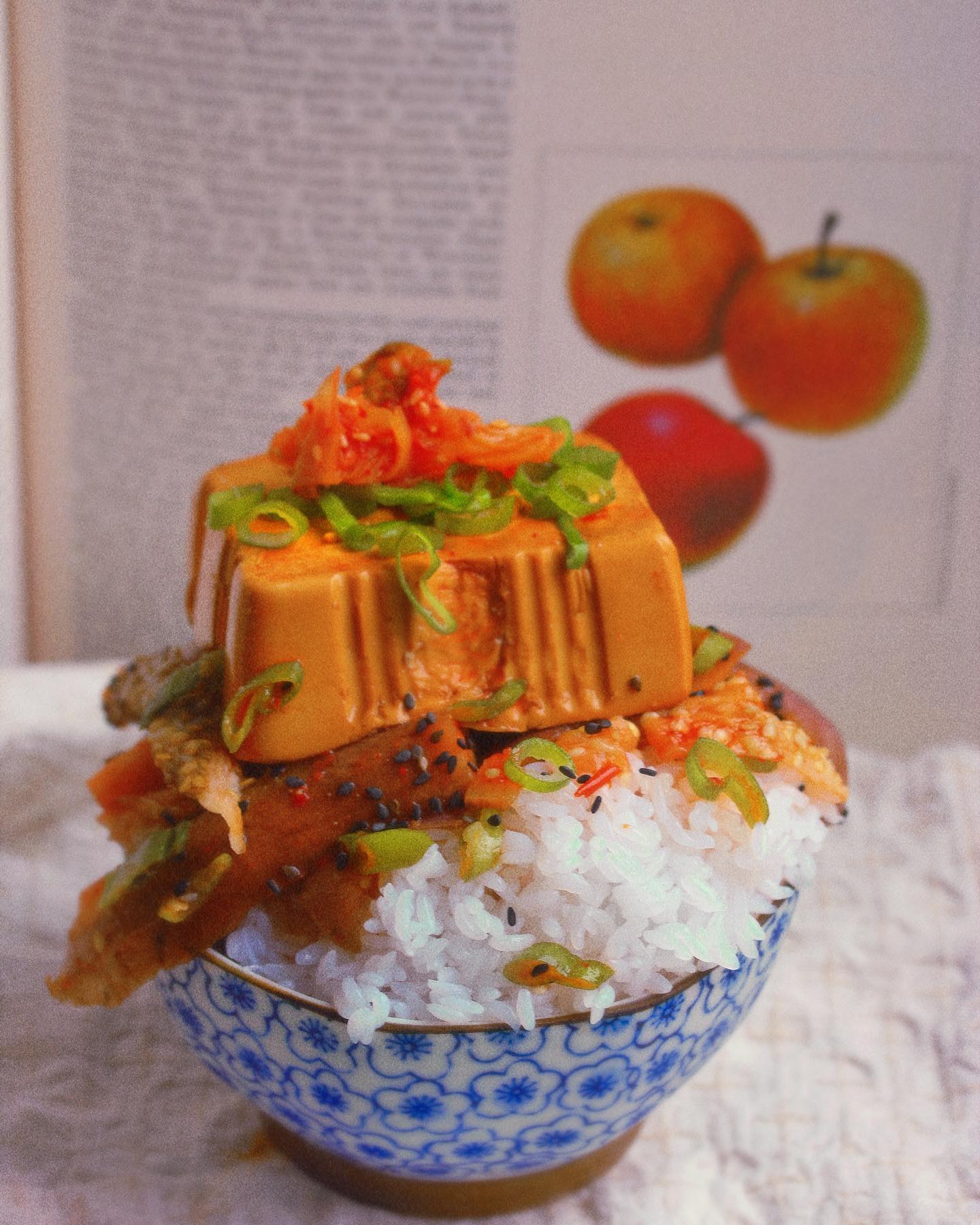 Braised Tofu and Eggplant Rice Bowl