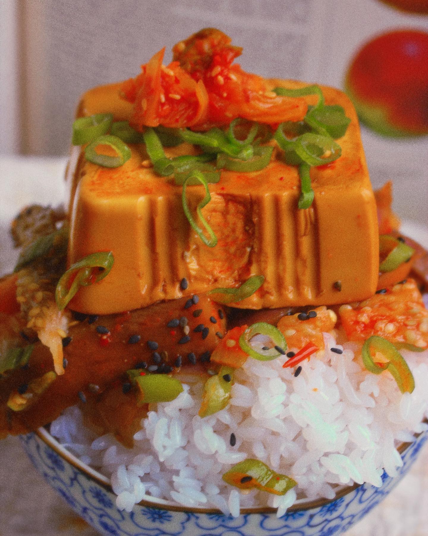 Braised Tofu and Eggplant Rice Bowl