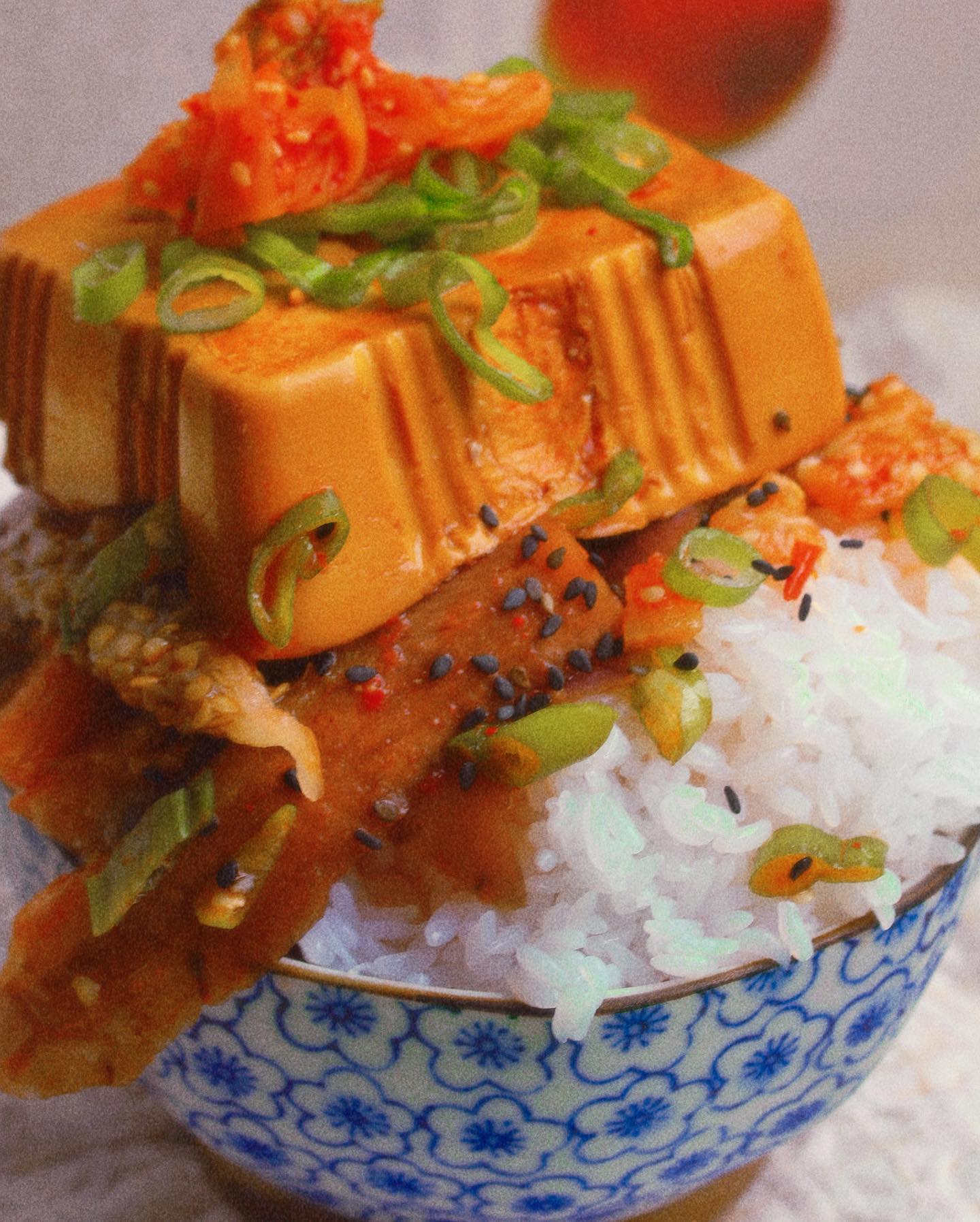 Braised Tofu and Eggplant Rice Bowl