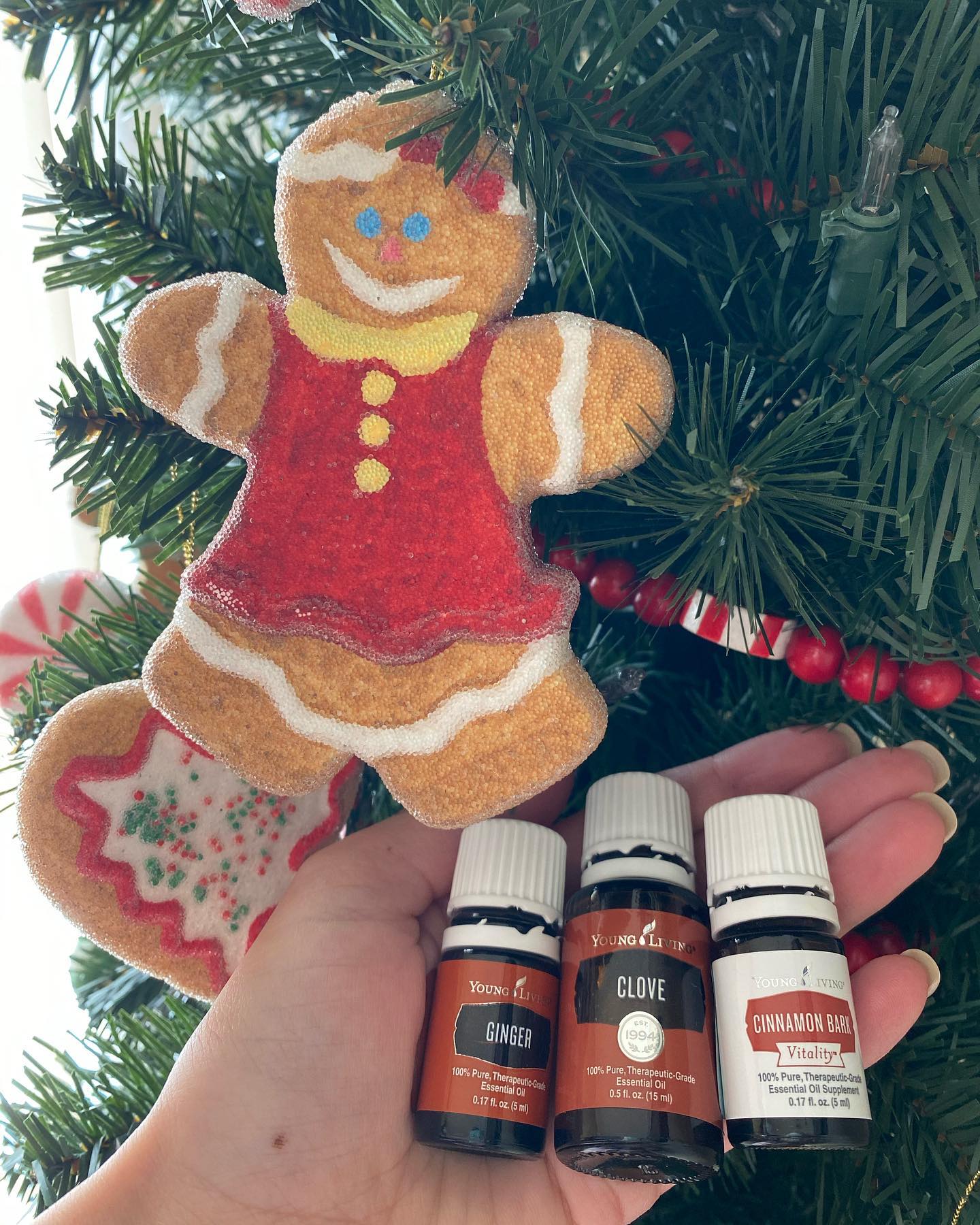 Simple Homemade Gingerbread Play-Dough