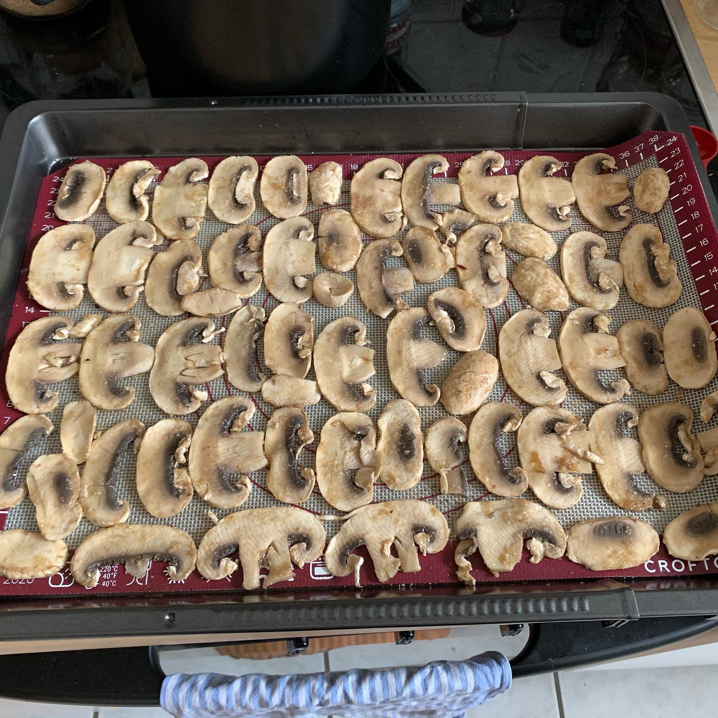 Marinated Oven-Dehydrated Mushroom Jerky