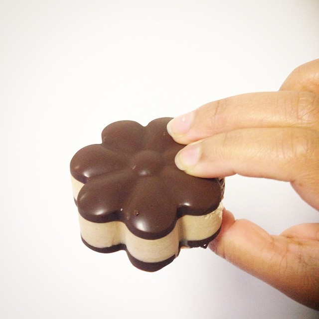 Dark Chocolate Peanut Butter Sandwich