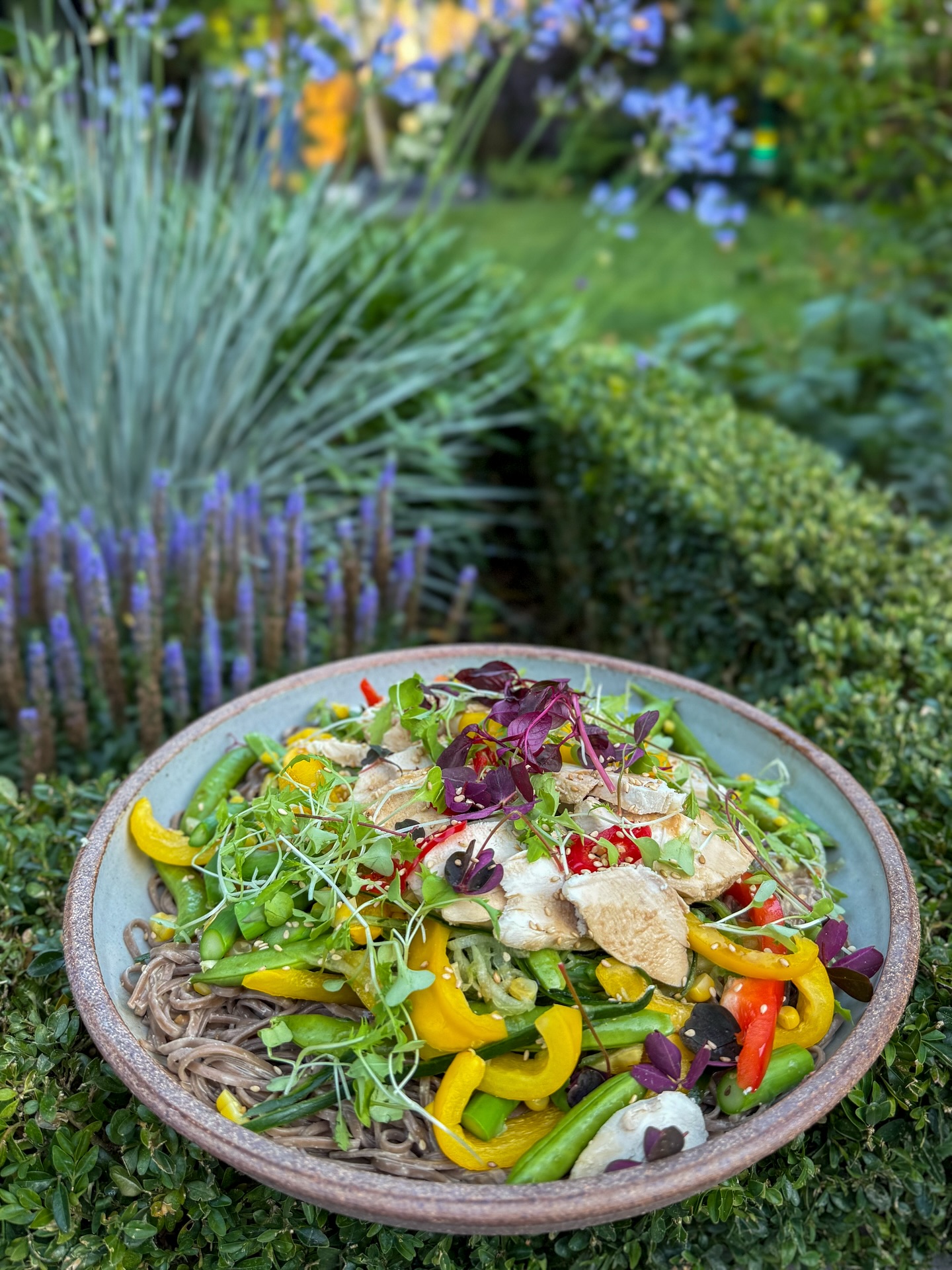 Poached Chicken Salad with Buckwheat Noodles