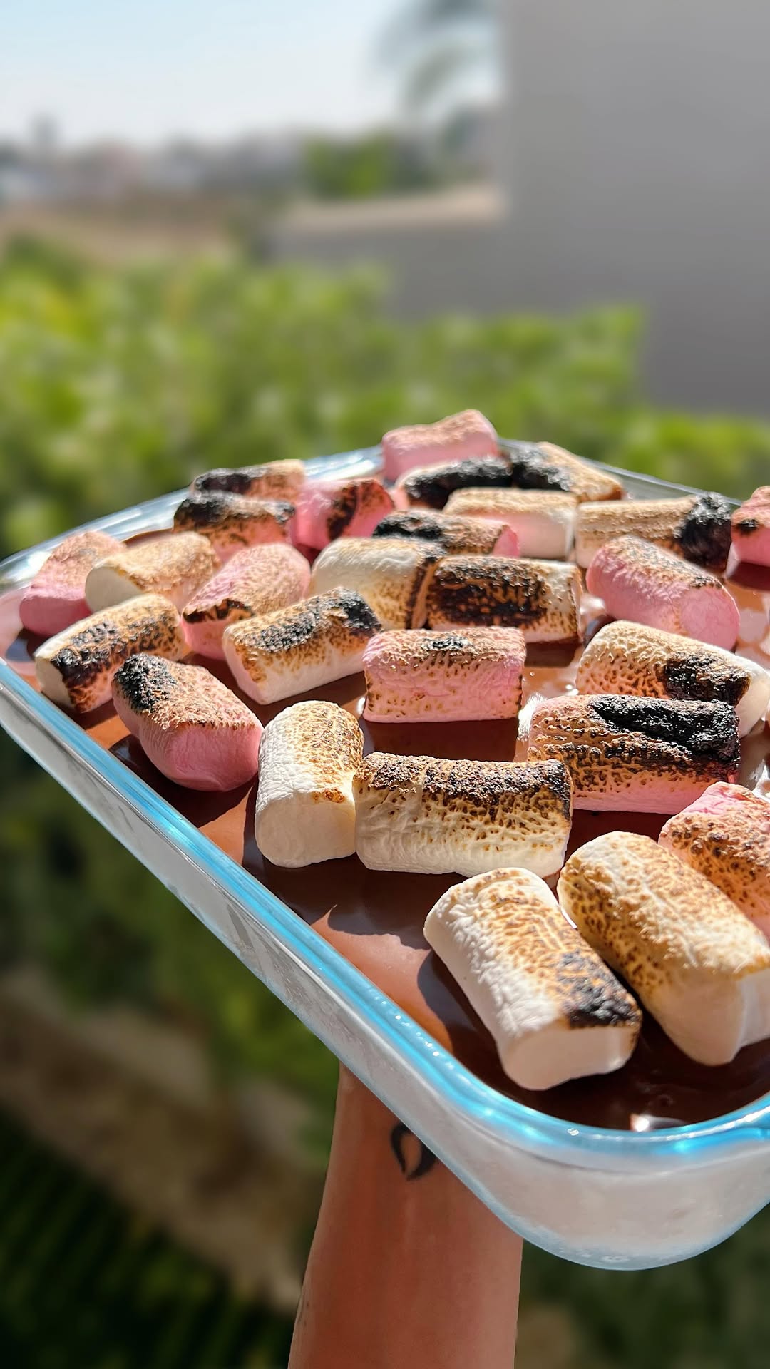 No-Bake S'mores Biscuit Cake