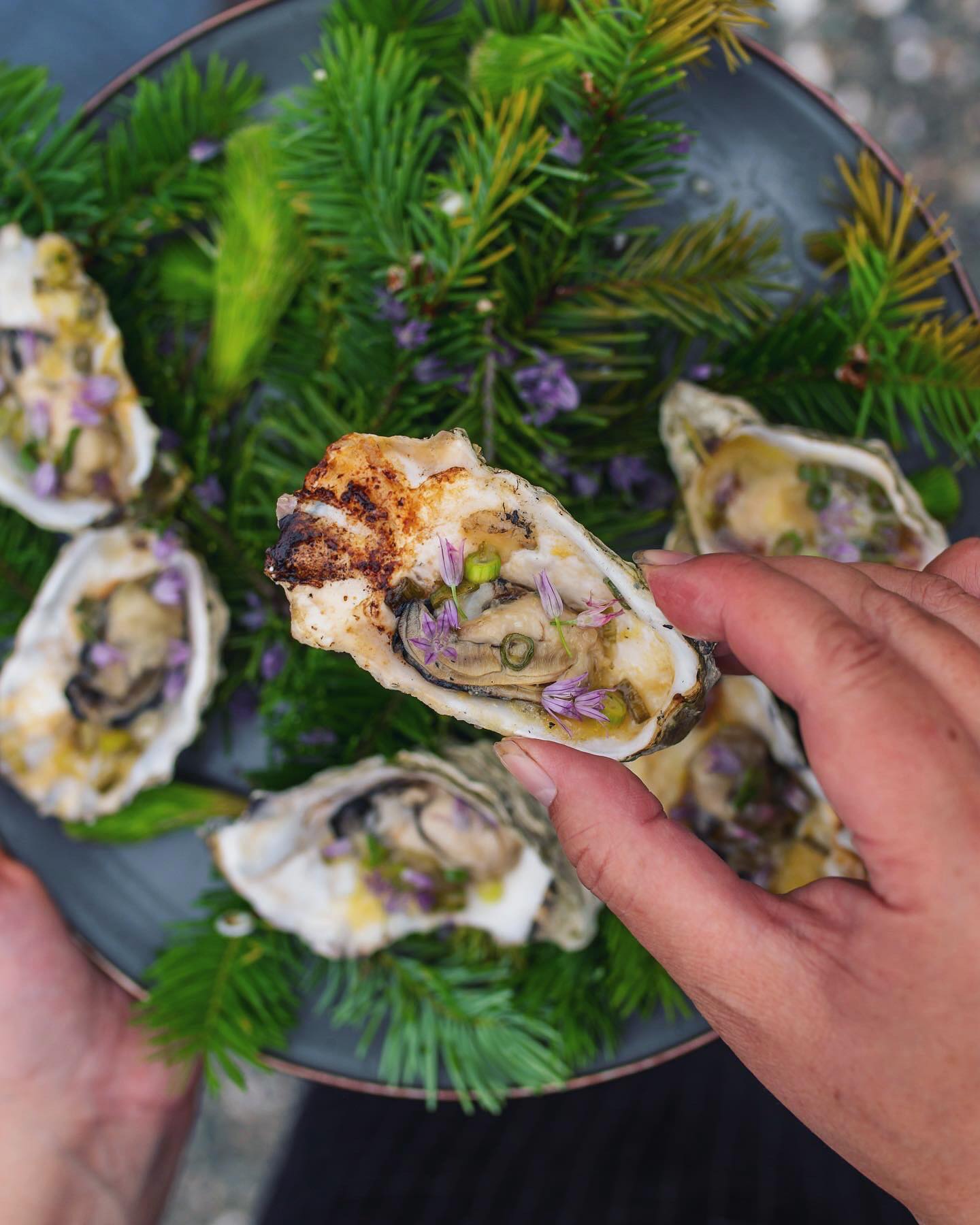 Fire-Roasted Hama Hama Oysters with Miso Butter