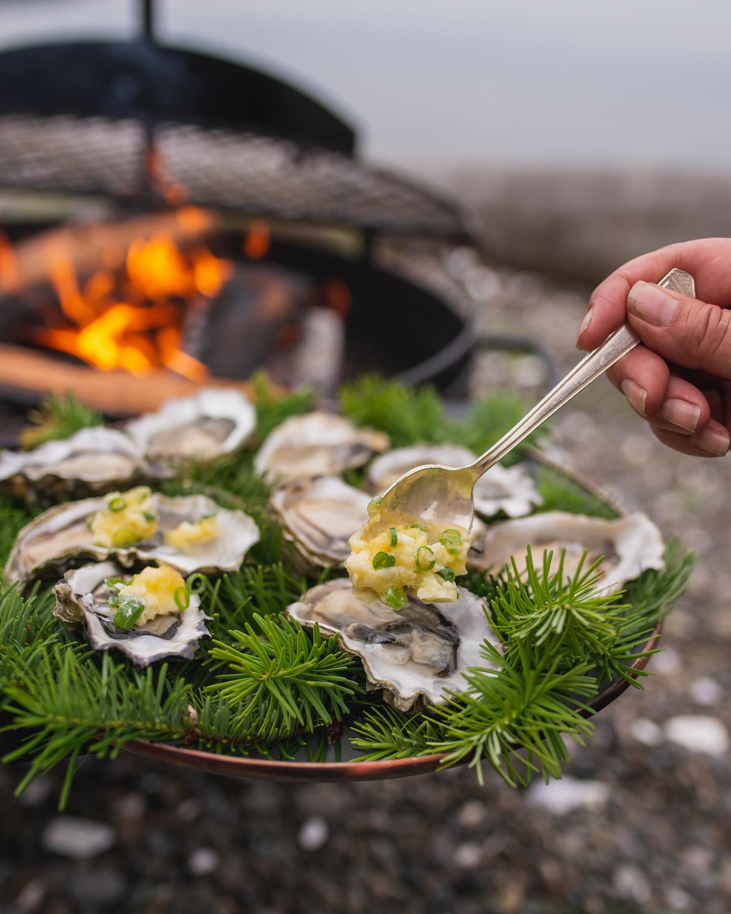Fire-Roasted Hama Hama Oysters with Miso Butter