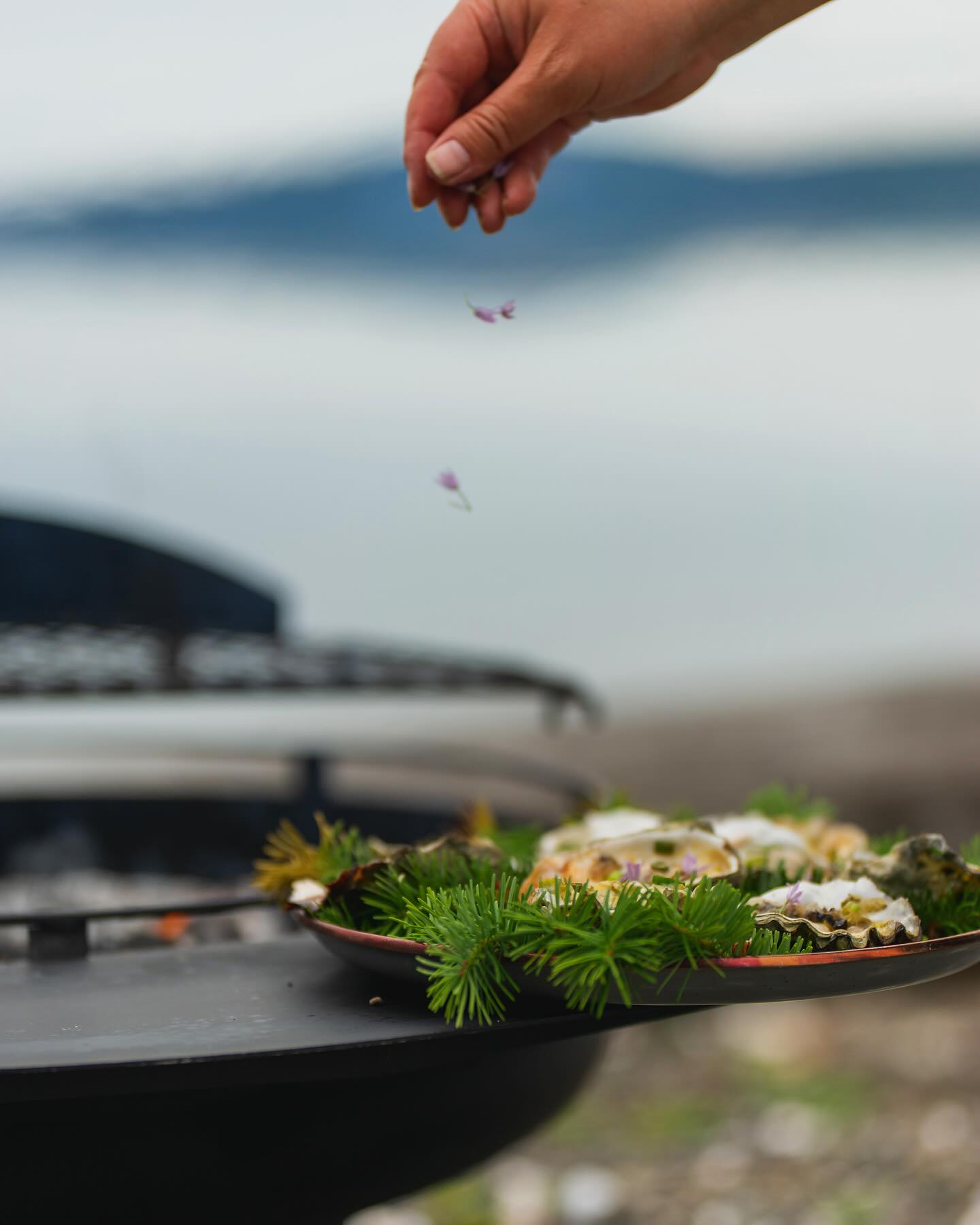 Fire-Roasted Hama Hama Oysters with Miso Butter