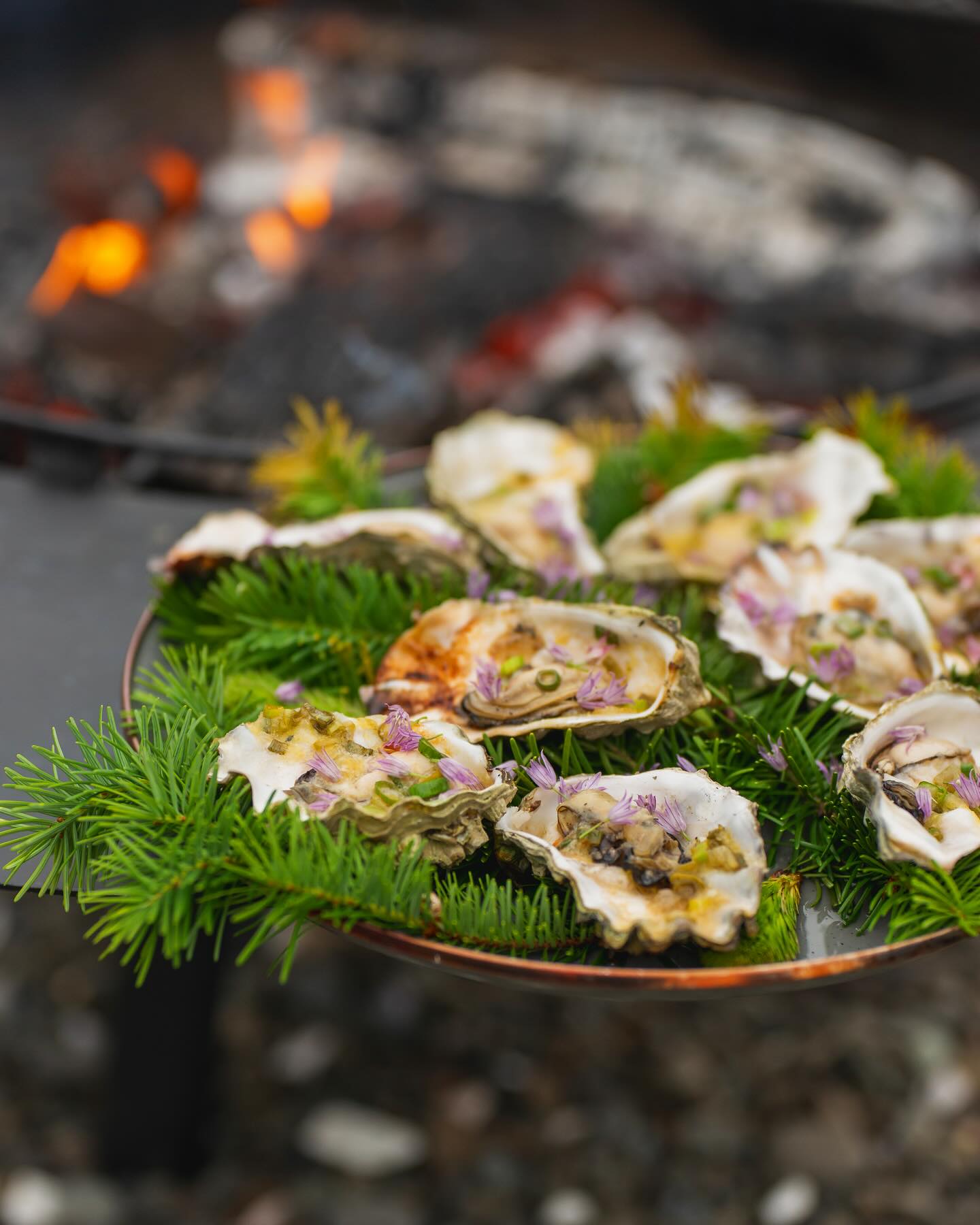 Fire-Roasted Hama Hama Oysters with Miso Butter