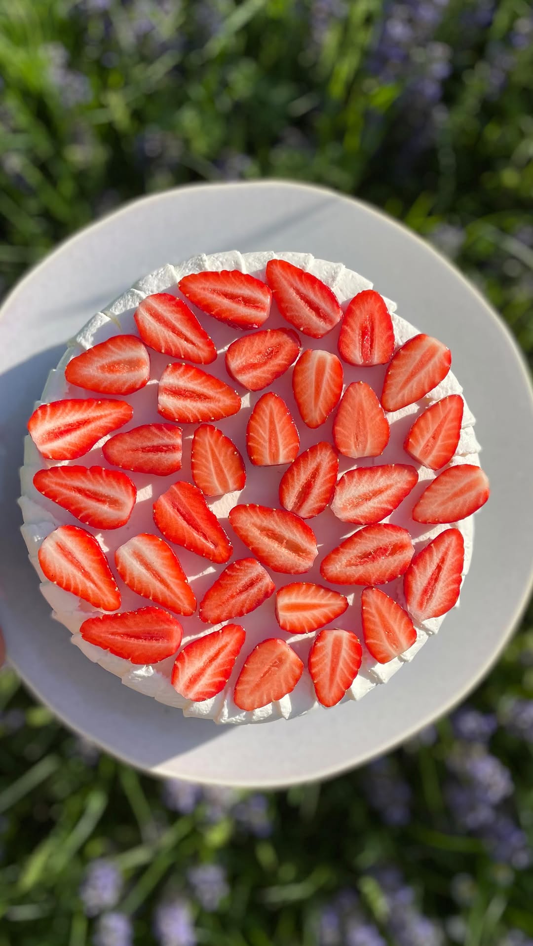 Orange Blossom Strawberry Chantilly Cake