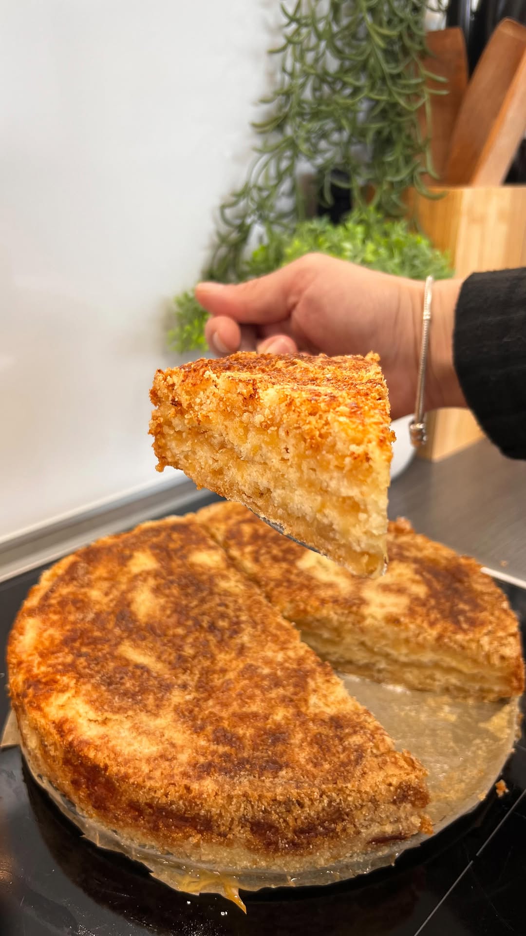 Easy No-Egg No-Milk Apple Cake