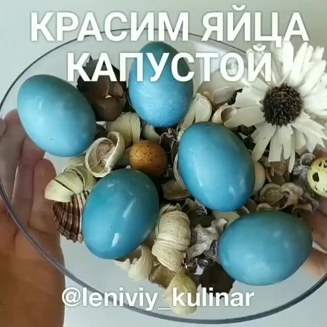 Dyeing Eggs with Red Cabbage