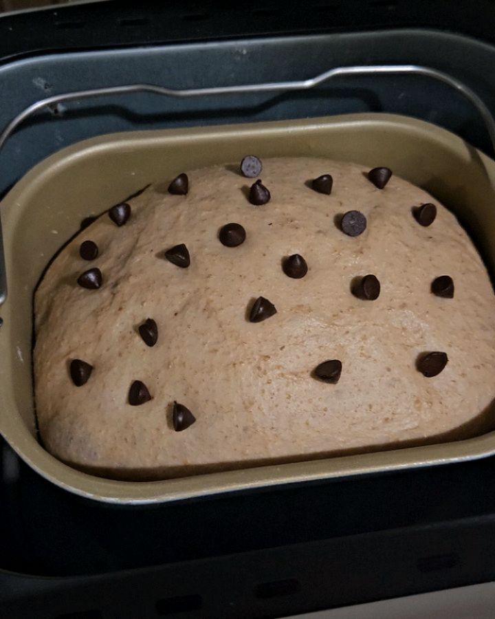 Homemade Wheat Sandwich Bread