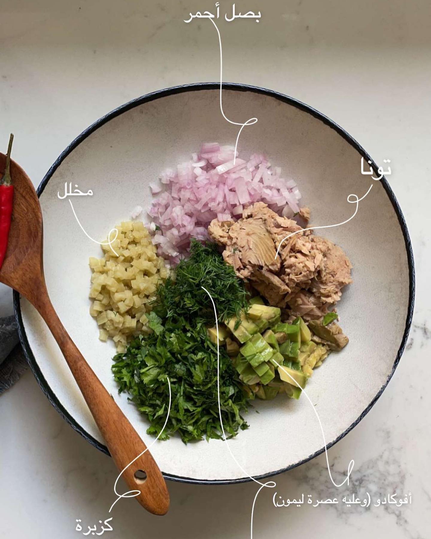 Tuna Sandwich with Avocado and Herbs