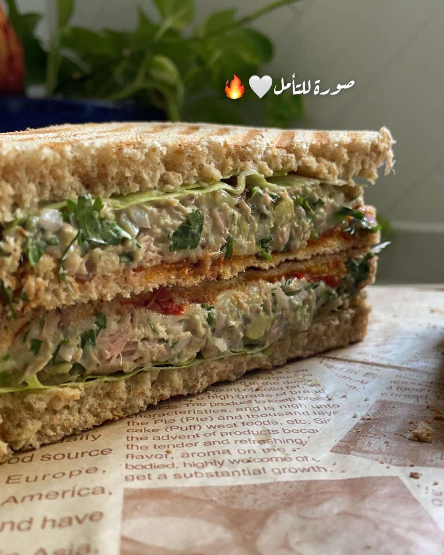 Tuna Sandwich with Avocado and Herbs