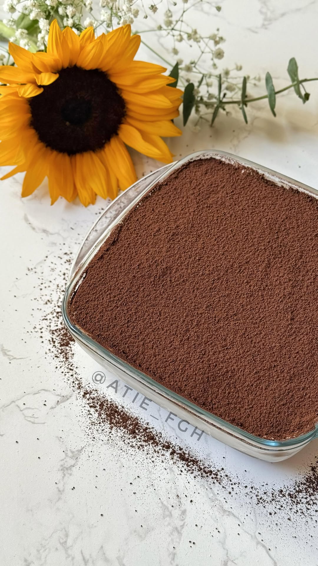 Lazy Tiramisu for Coffee Lovers