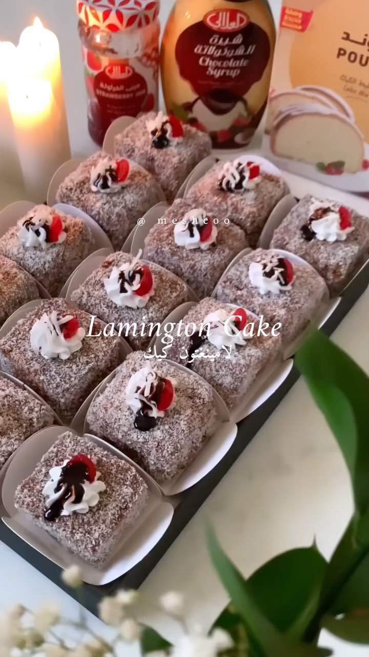 Lamington Cake with Chocolate and Coconut Coating